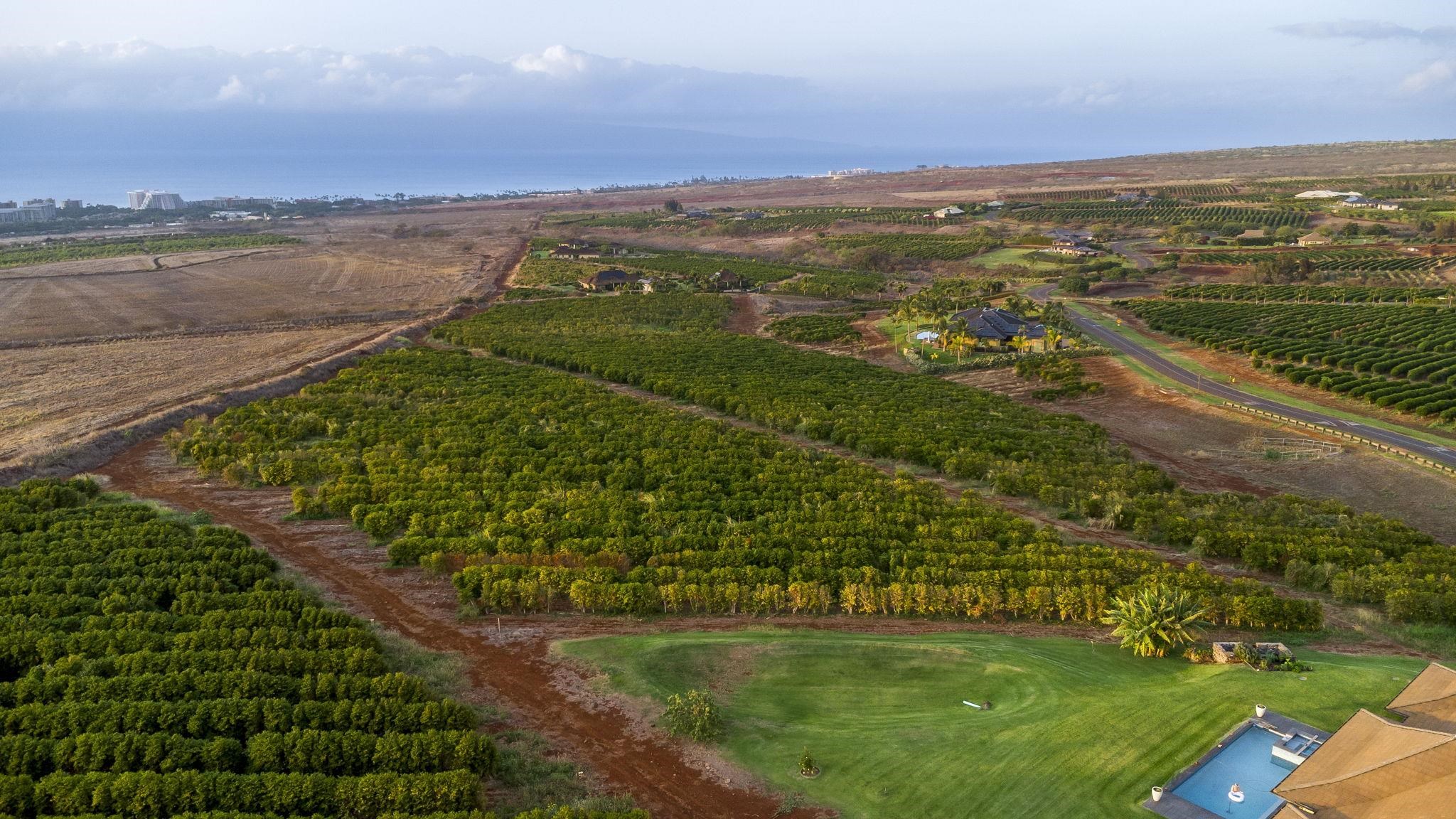 517 Ola Kope St  Lahaina, Hi vacant land for sale - photo 9 of 23