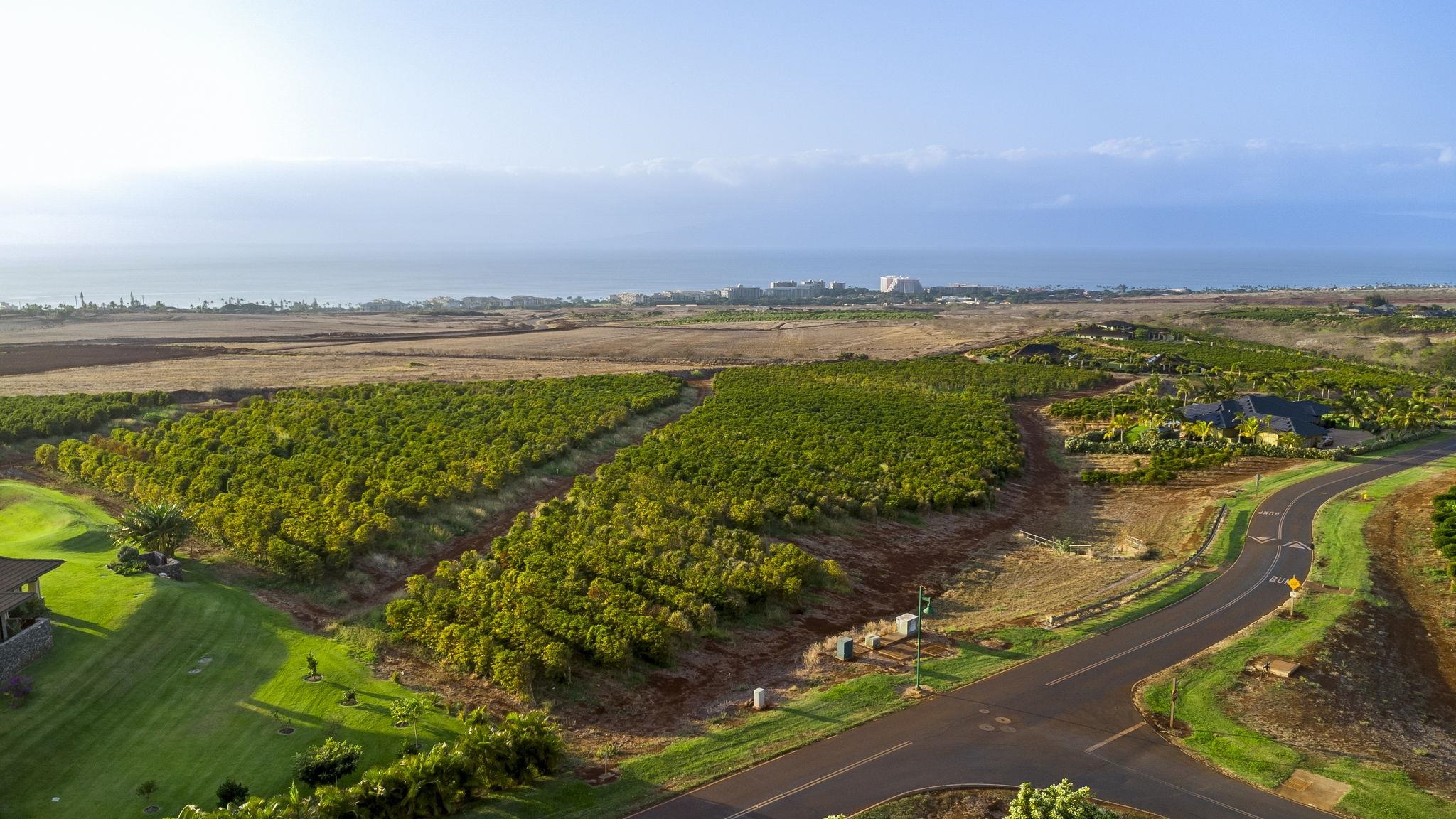 517 Ola Kope St  Lahaina, Hi vacant land for sale - photo 10 of 23