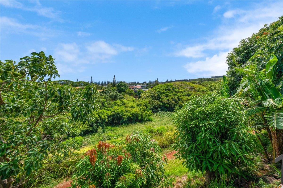 5177  Hanawai St , Napili/Kahana/Honokowai home - photo 37 of 44