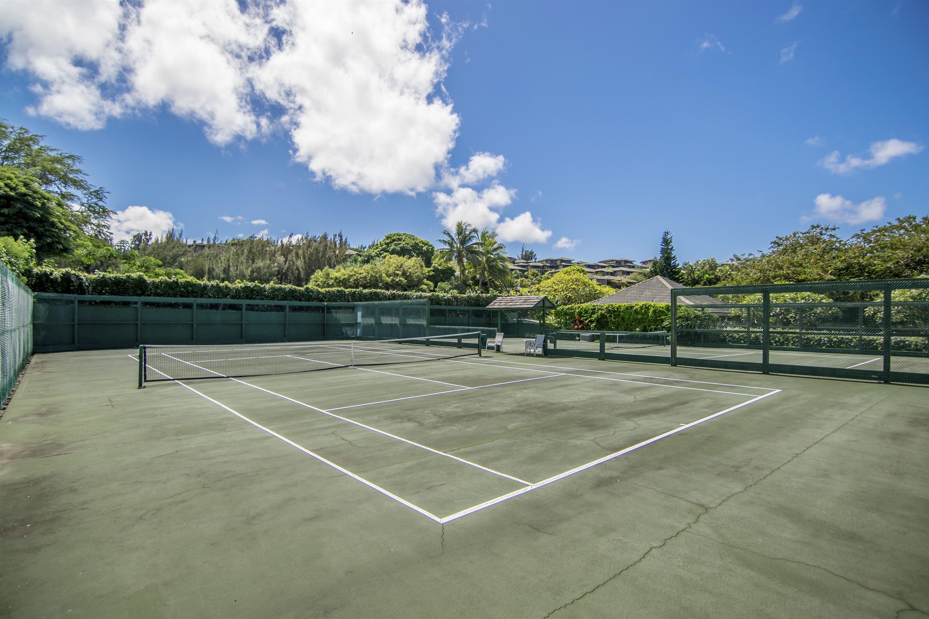 Kapalua Ironwoods condo # 52, Lahaina, Hawaii - photo 40 of 49