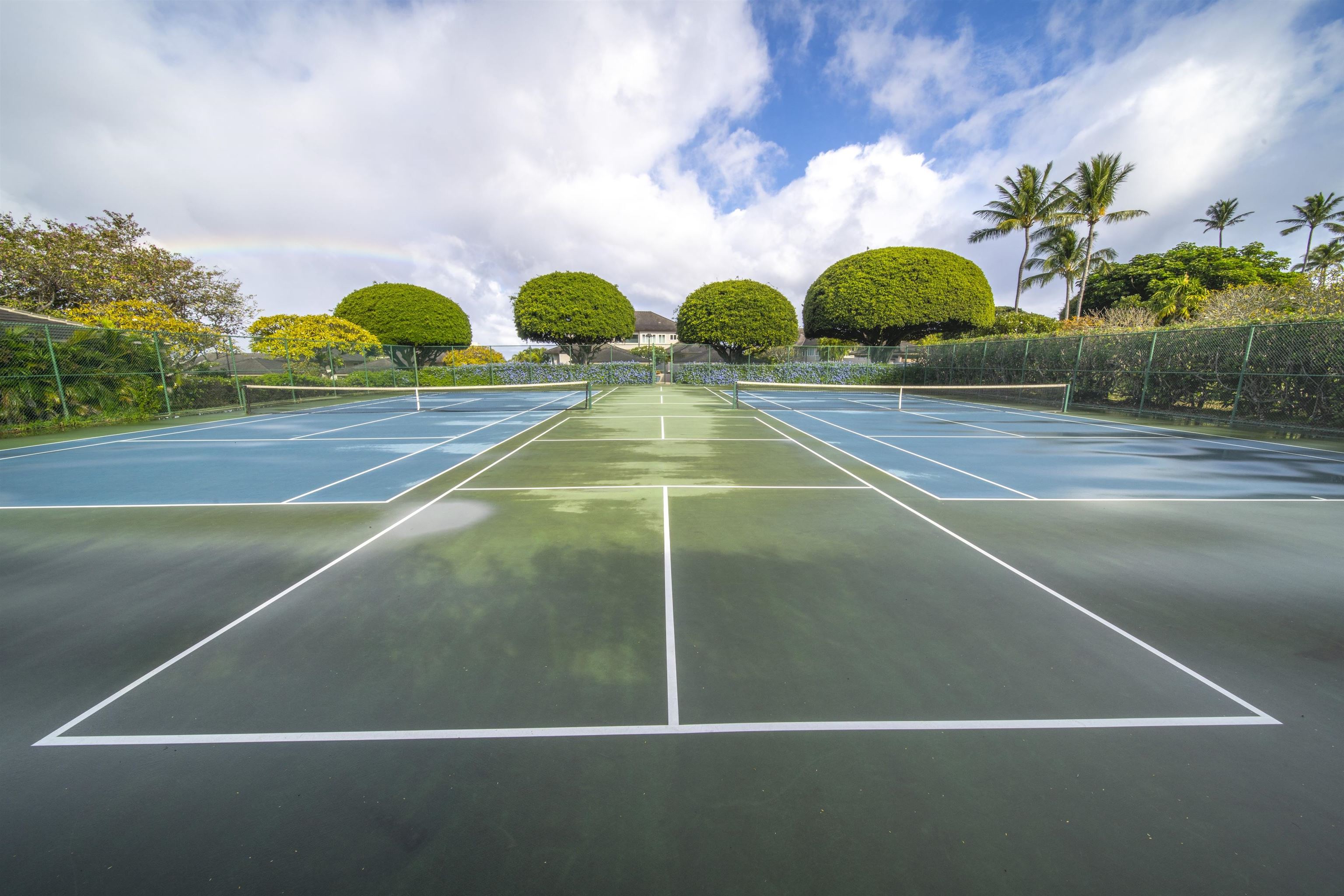 Kapalua Ironwoods condo # 52, Lahaina, Hawaii - photo 41 of 49