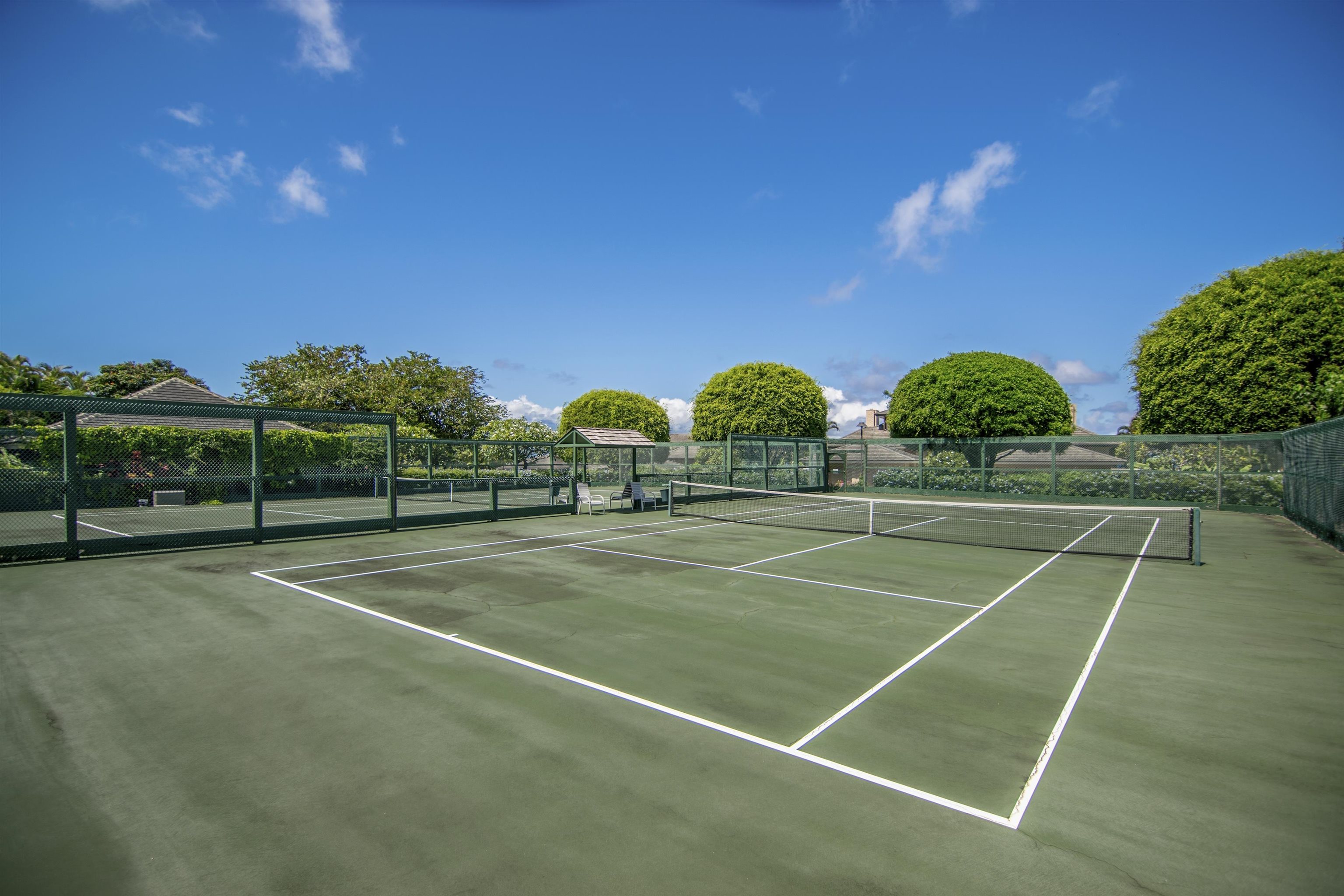 Kapalua Ironwoods condo # 52, Lahaina, Hawaii - photo 42 of 49