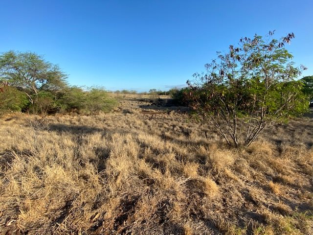 52 Kahinani Pl  Kaunakakai, Hi vacant land for sale - photo 2 of 7