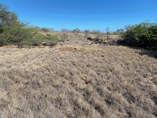 52 Kahinani Pl  Kaunakakai, Hi vacant land for sale - photo 3 of 7