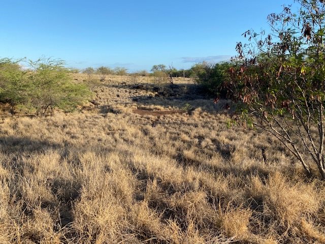 52 Kahinani Pl  Kaunakakai, Hi vacant land for sale - photo 4 of 7