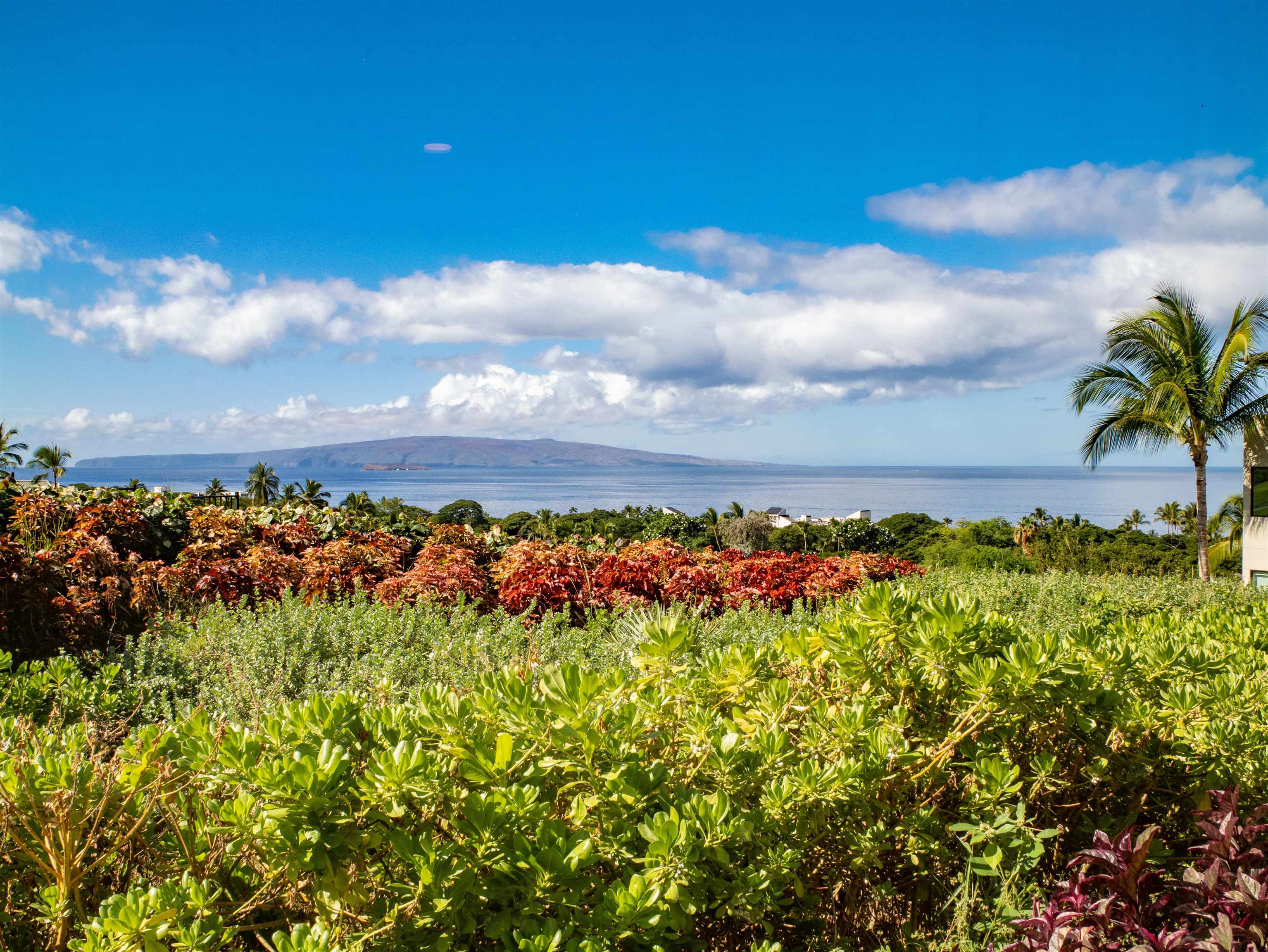 La'i Loa condo # 101 (9A), Kihei, Hawaii - photo 23 of 50