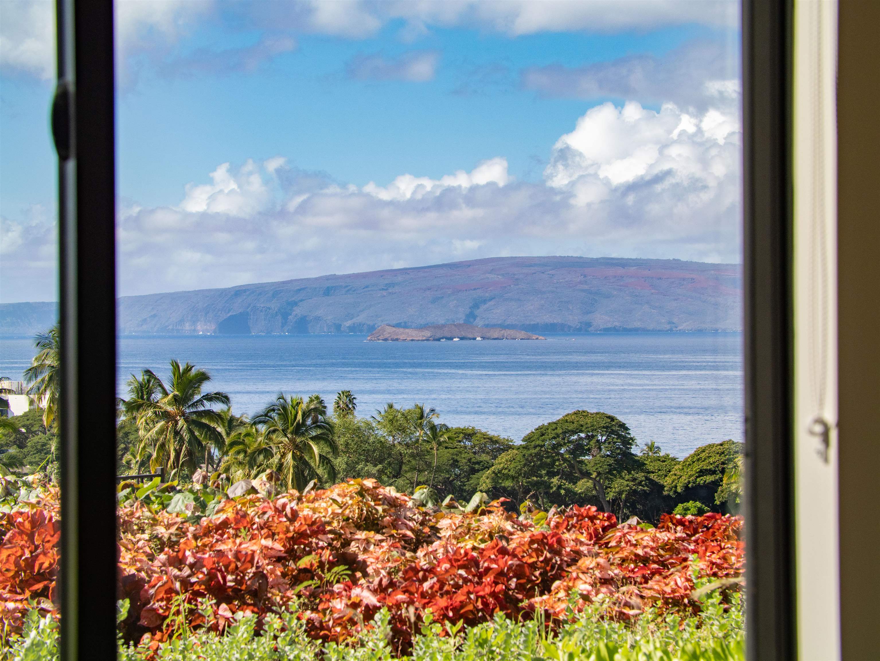 La'i Loa condo # 101 (9A), Kihei, Hawaii - photo 25 of 50