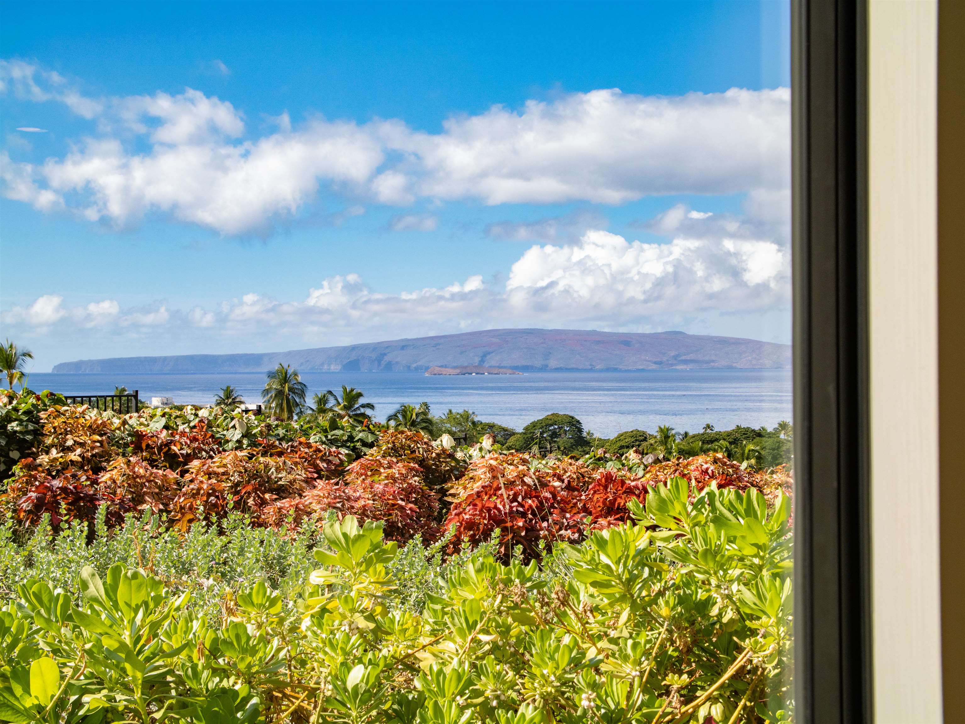 La'i Loa condo # 101 (9A), Kihei, Hawaii - photo 28 of 50