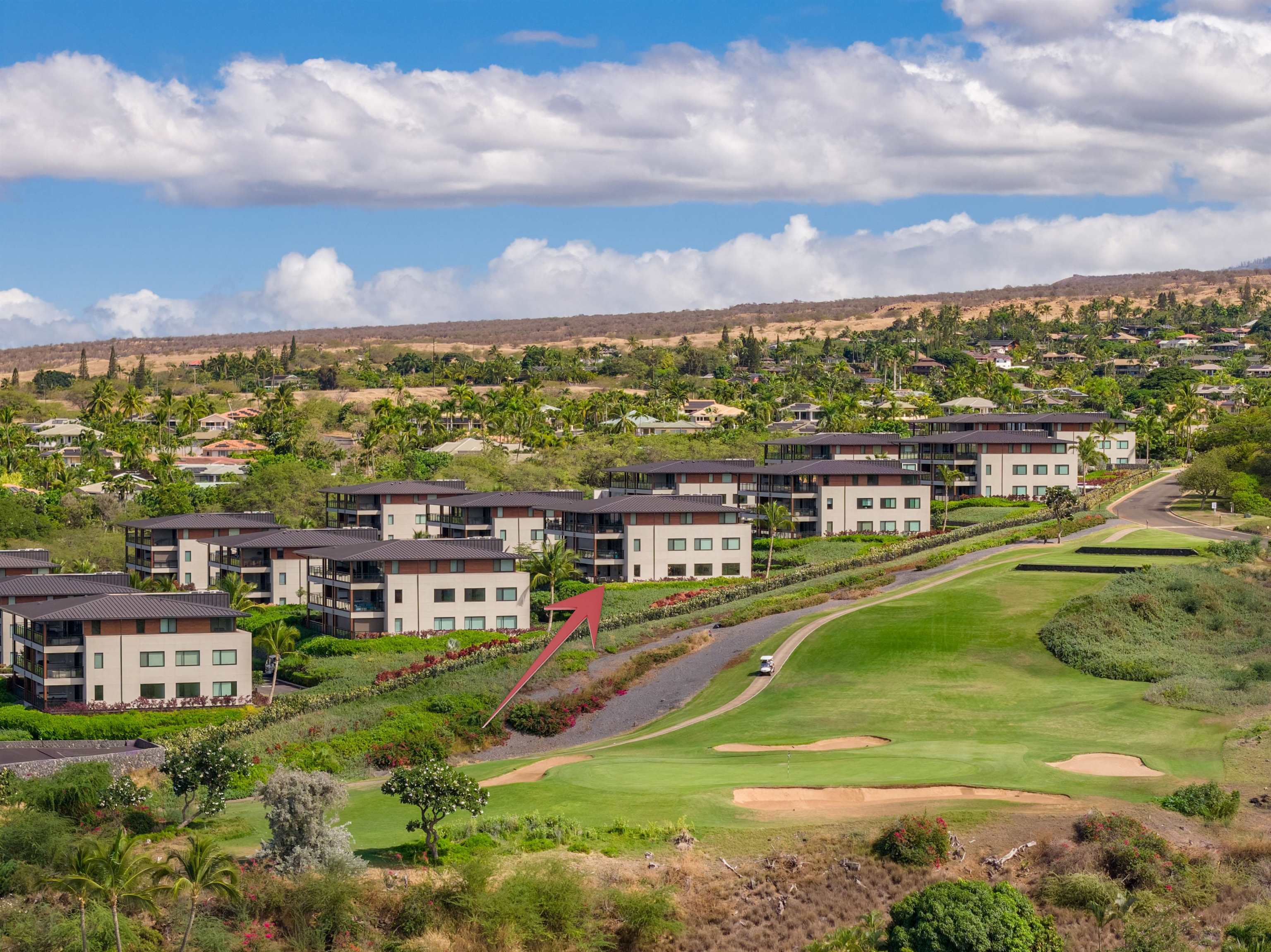 La'i Loa condo # 101 (9A), Kihei, Hawaii - photo 39 of 50