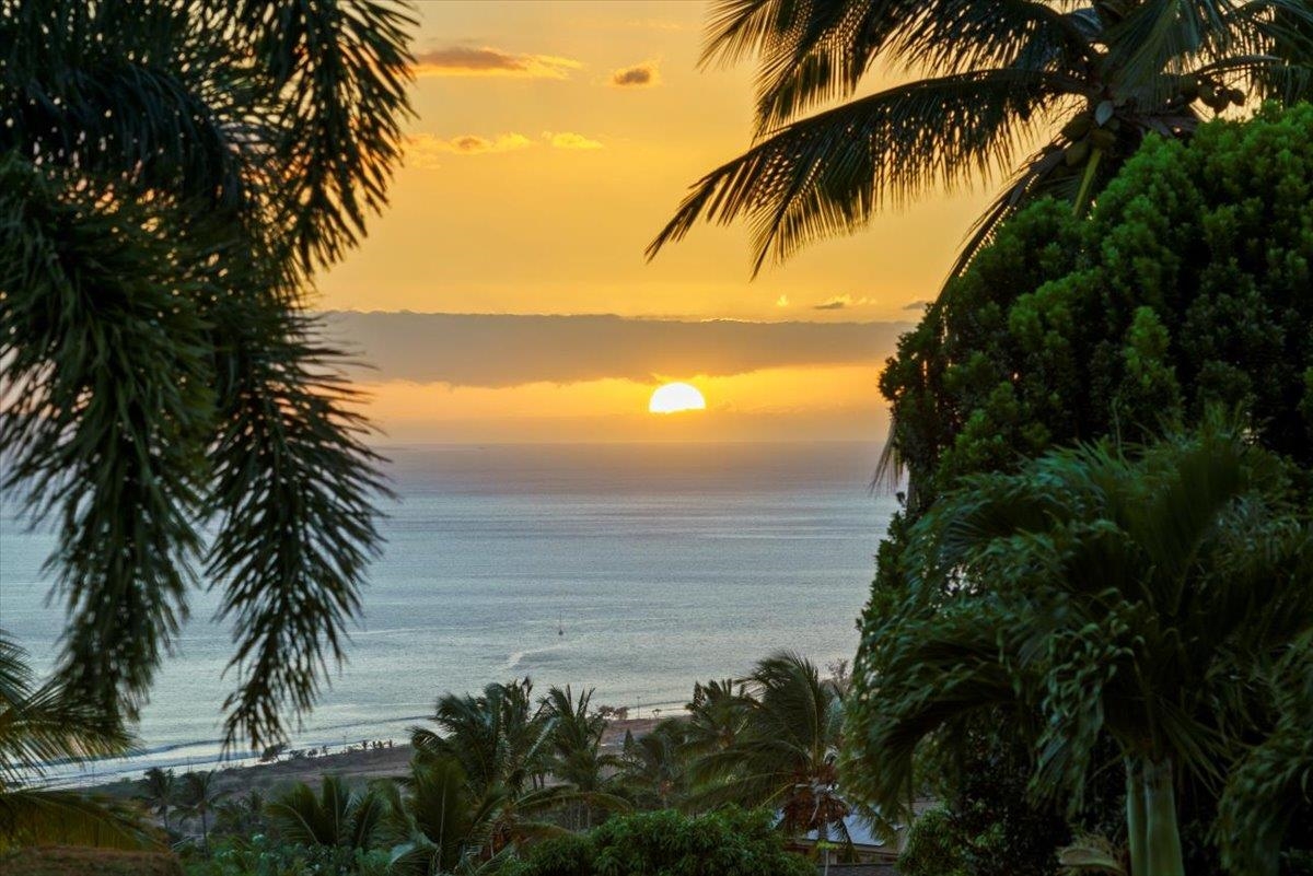 52  Lau Niu Way Launiupoko, Lahaina home - photo 44 of 48