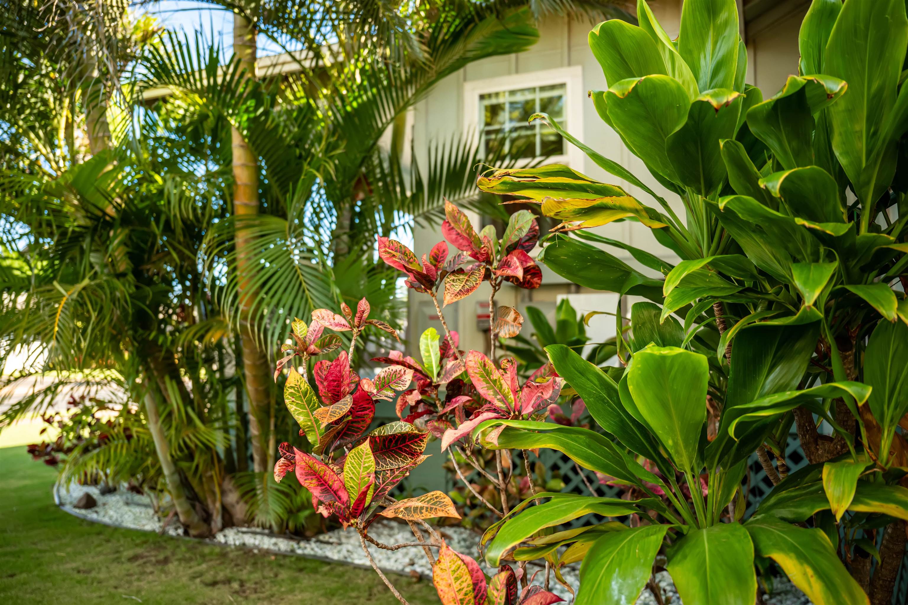 52  Waiapo St , Kihei home - photo 40 of 46