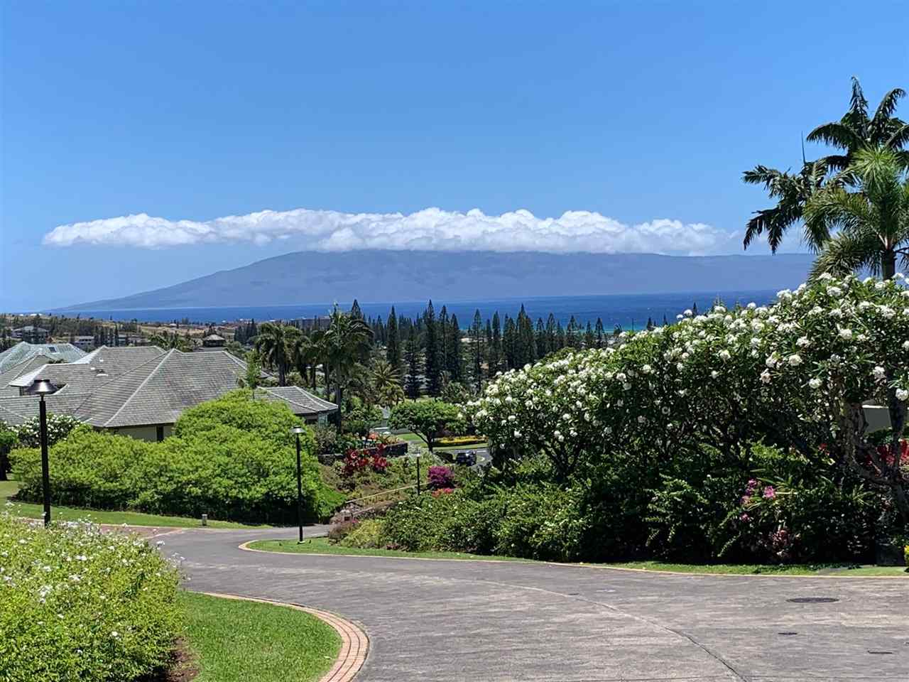 520  Pacific Dr Pineapple Hill, Kapalua home - photo 26 of 30