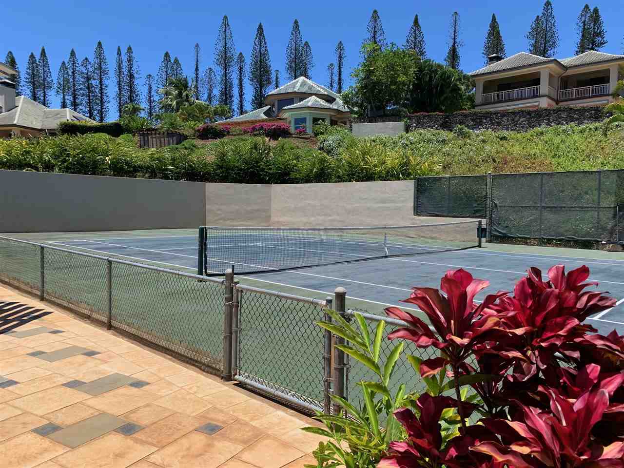 520  Pacific Dr Pineapple Hill, Kapalua home - photo 28 of 30