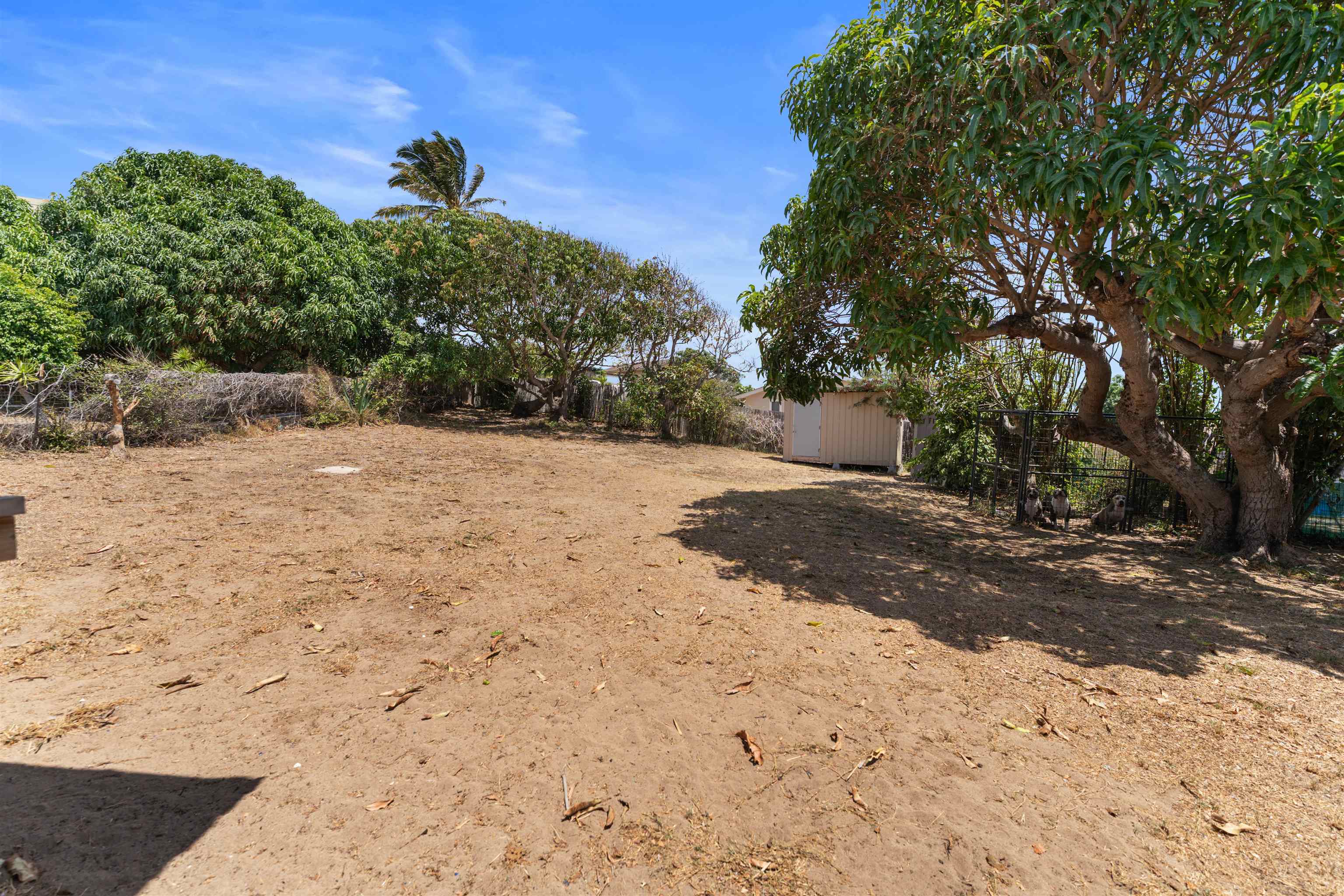 522  Niau St , Kahului home - photo 16 of 33