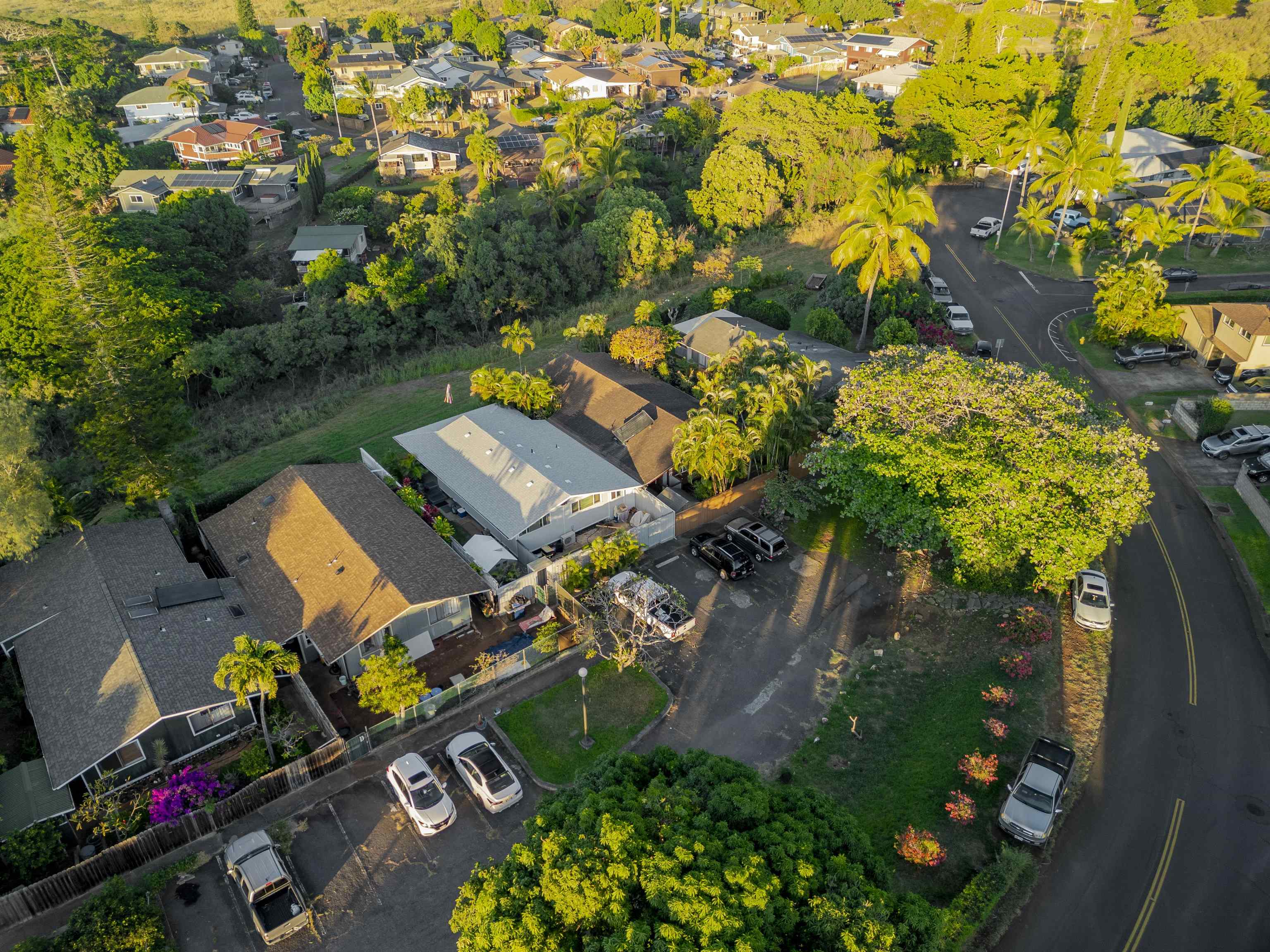 5221-B  Kohi St , Napili/Kahana/Honokowai home - photo 47 of 50