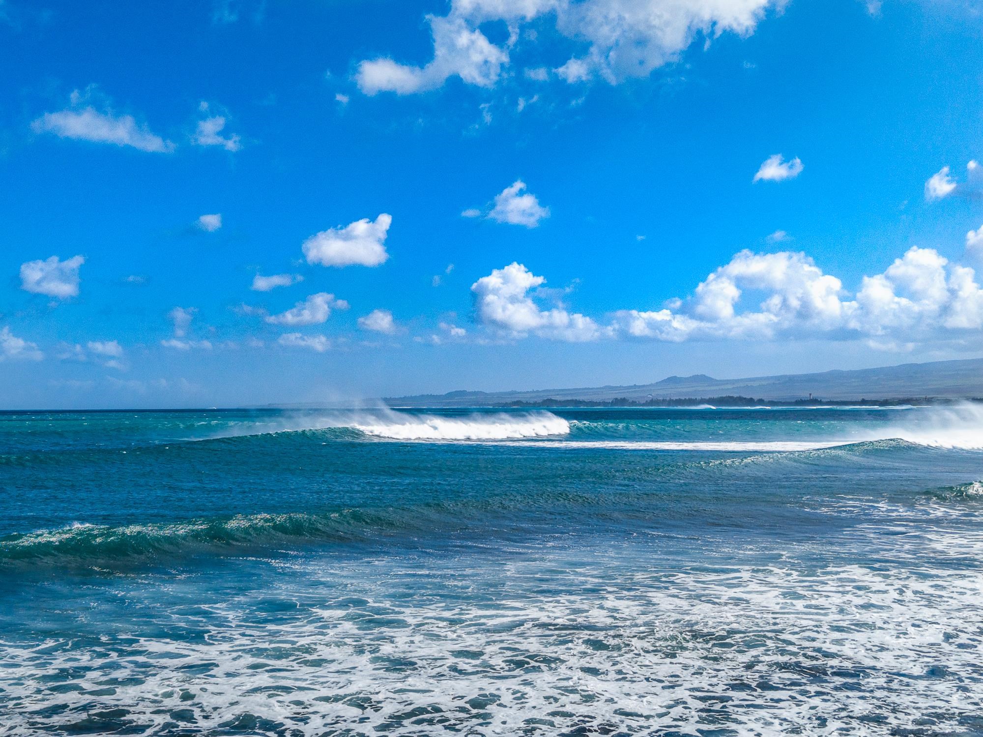 523 Kaikoo St   - photo 29 of 29