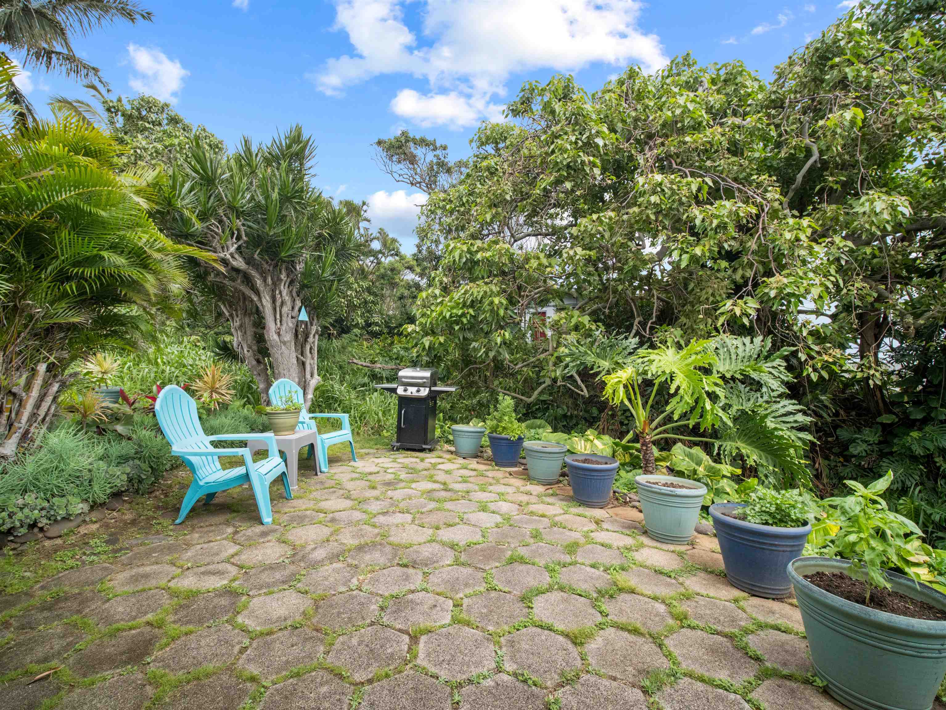 525  Kualau St Wailuku, Wailuku home - photo 39 of 50