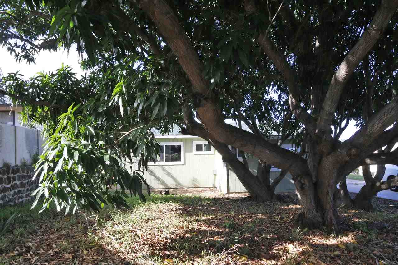 525  Niau St , Kahului home - photo 24 of 28