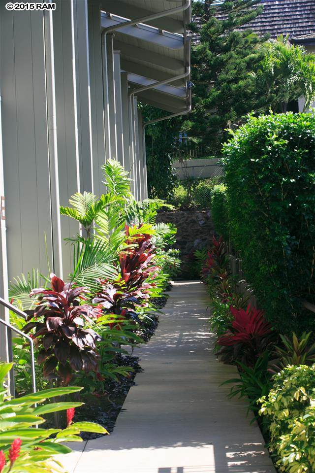 Honokeana Cove condo # 101, Lahaina, Hawaii - photo 2 of 24