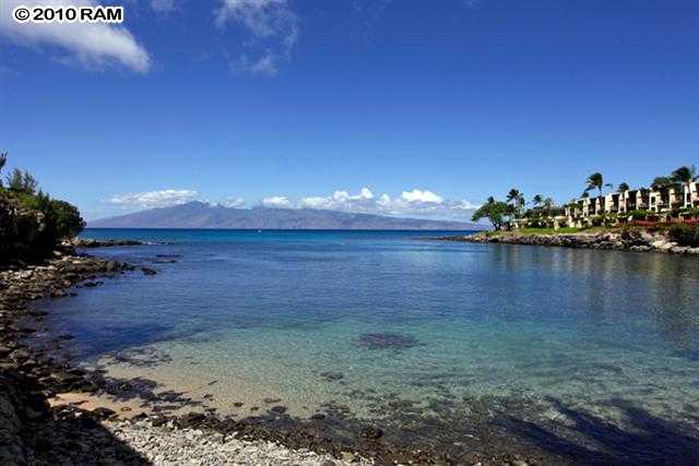 Honokeana Cove condo # 102, Lahaina, Hawaii - photo 19 of 21