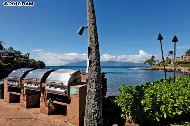 Honokeana Cove condo # 102, Lahaina, Hawaii - photo 10 of 21