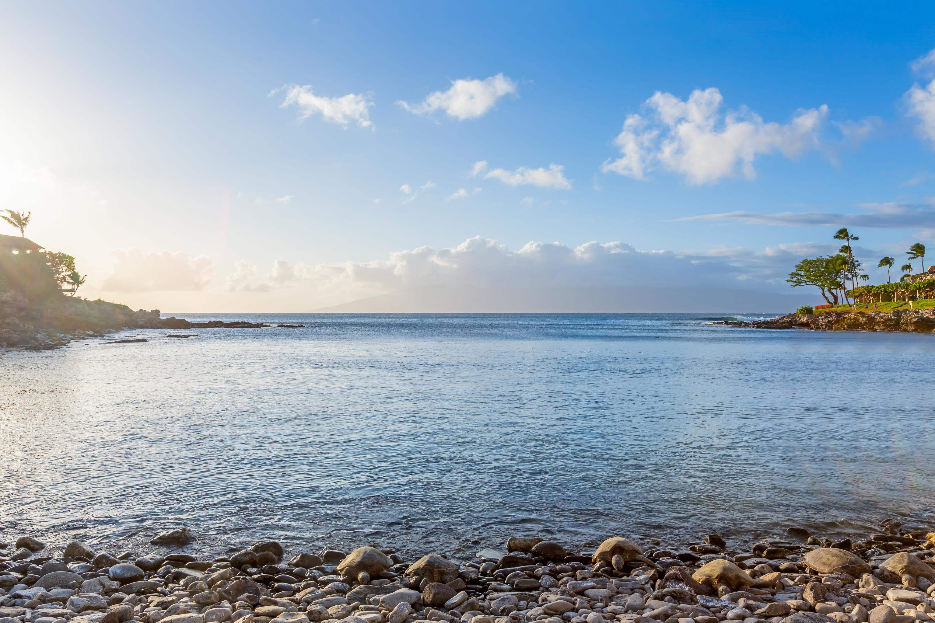 Honokeana Cove condo # 119, Lahaina, Hawaii - photo 18 of 22