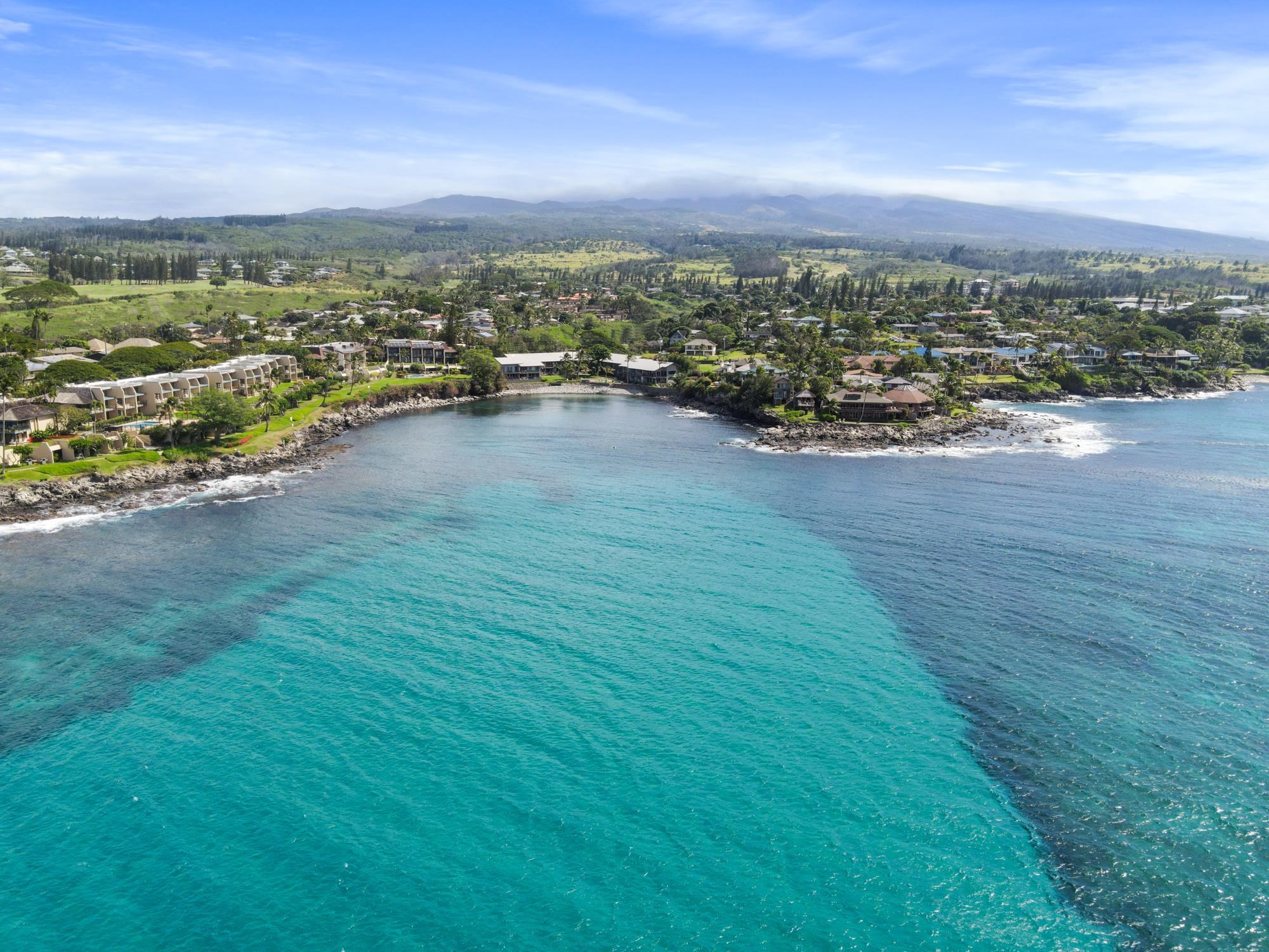 Honokeana Cove condo # 207, Lahaina, Hawaii - photo 39 of 50