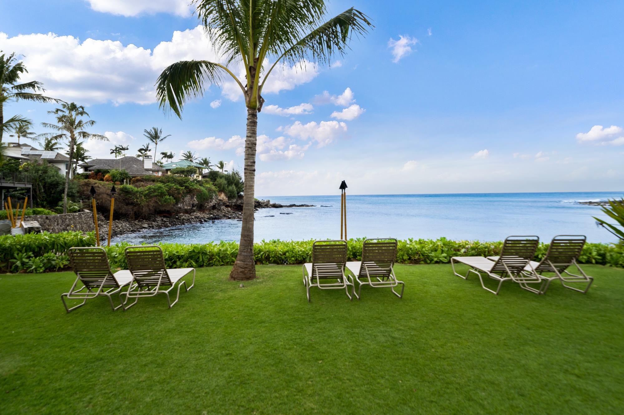 Honokeana Cove condo # 207, Lahaina, Hawaii - photo 40 of 50