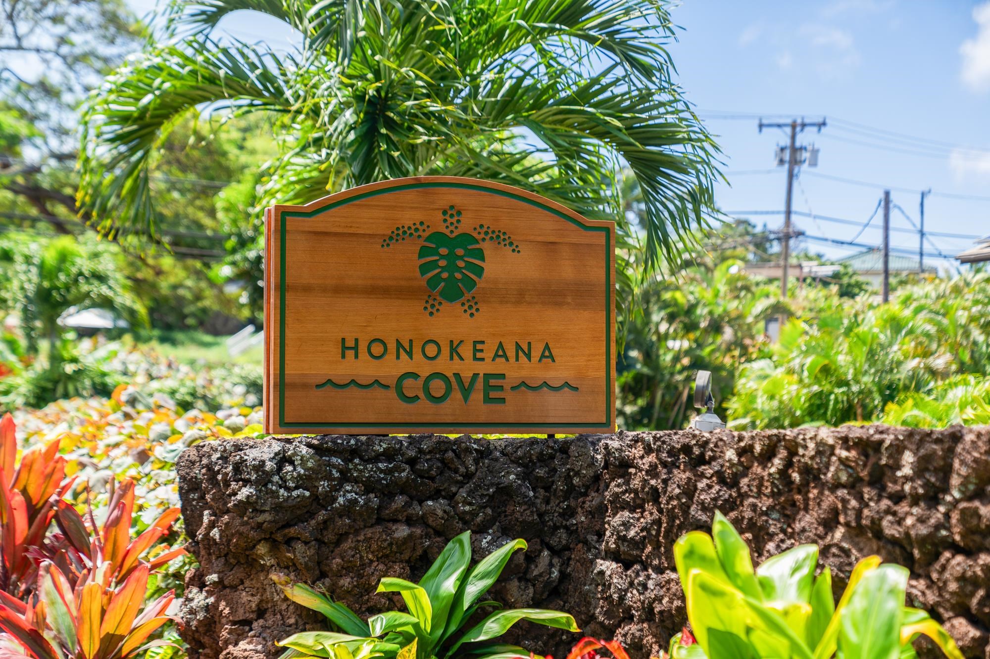 Honokeana Cove condo # 207, Lahaina, Hawaii - photo 50 of 50