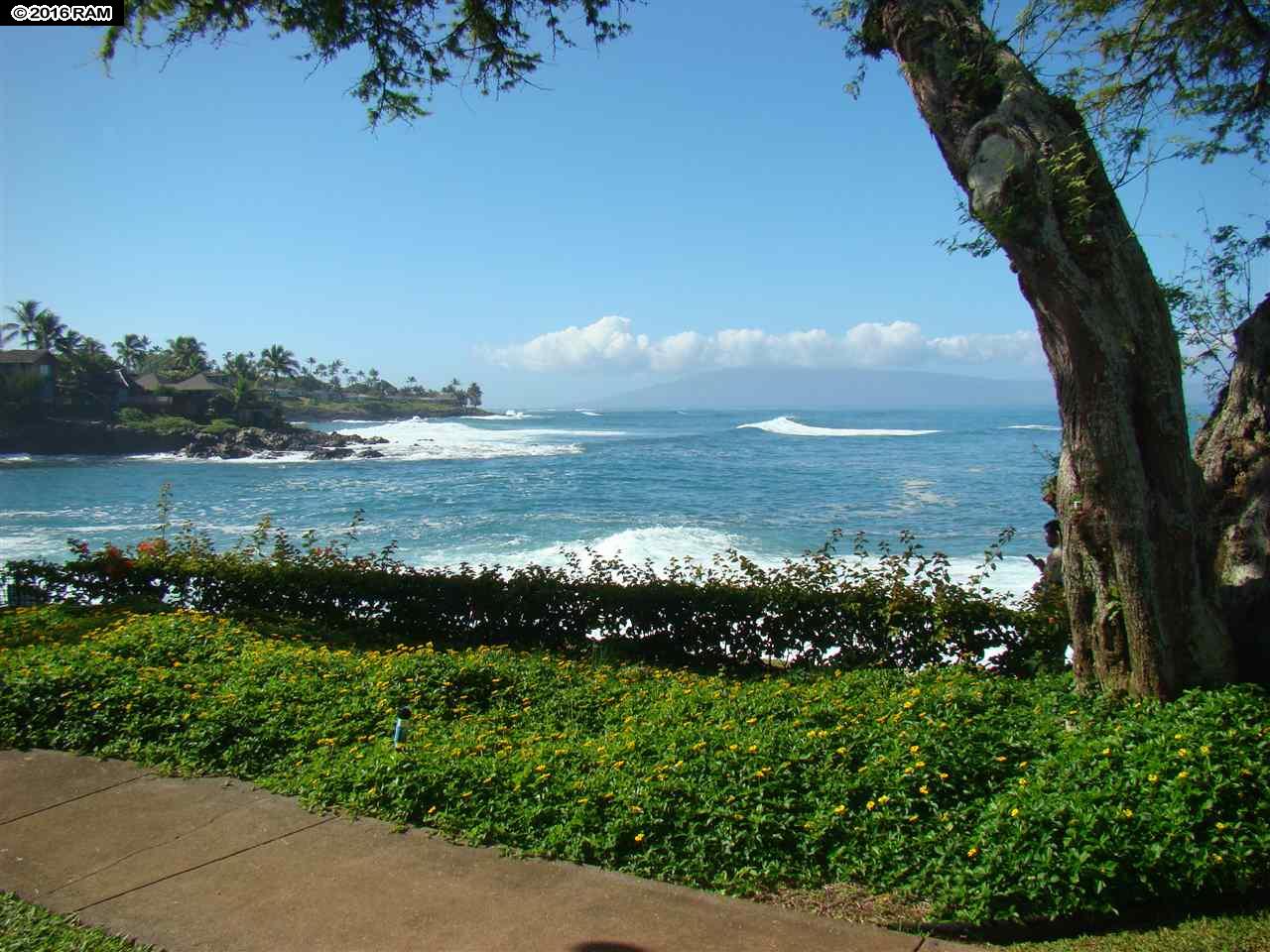Napili Point I condo # A-8, Lahaina, Hawaii - photo 2 of 17