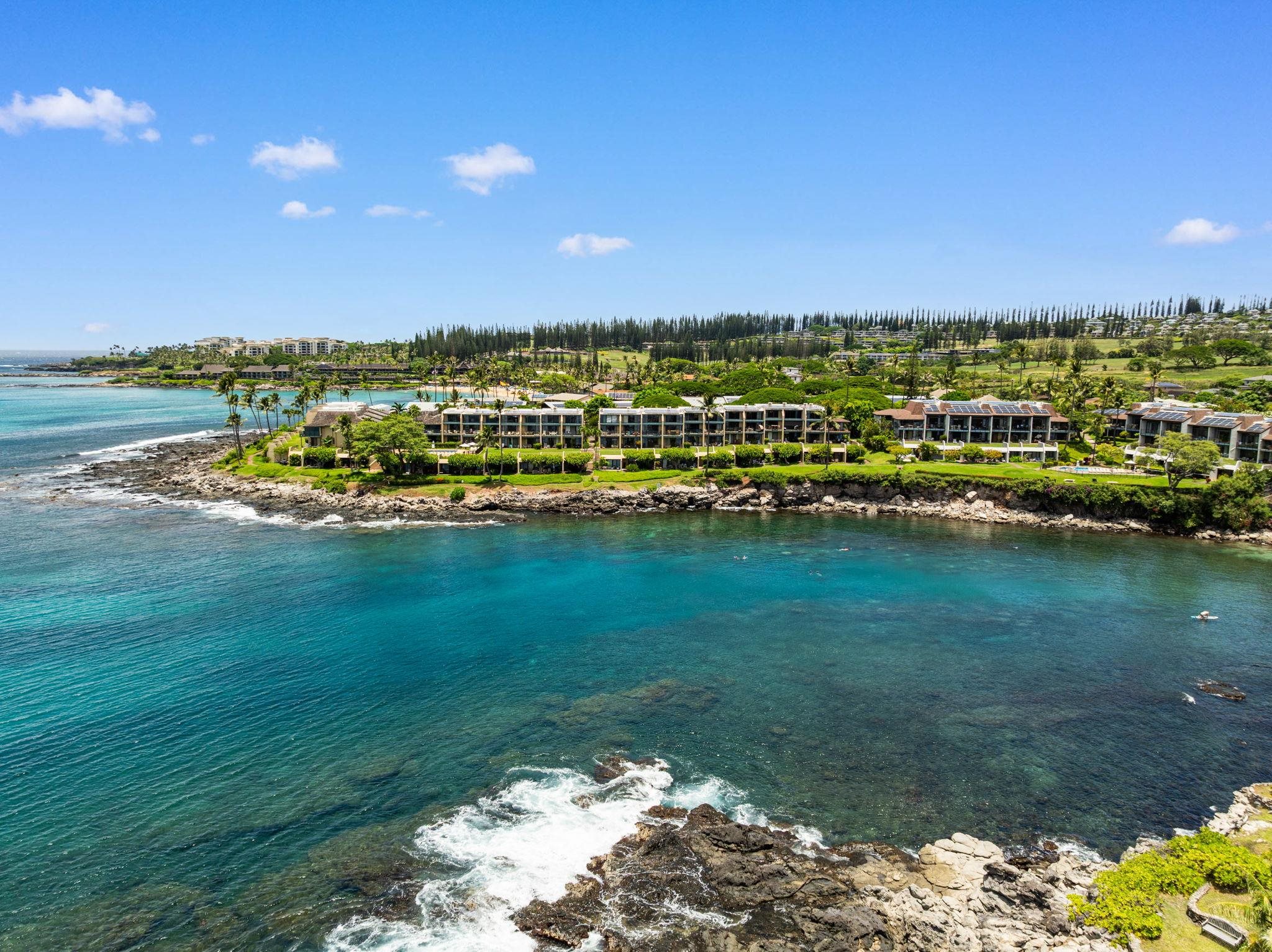 Napili Point I condo # A7, Lahaina, Hawaii - photo 38 of 43