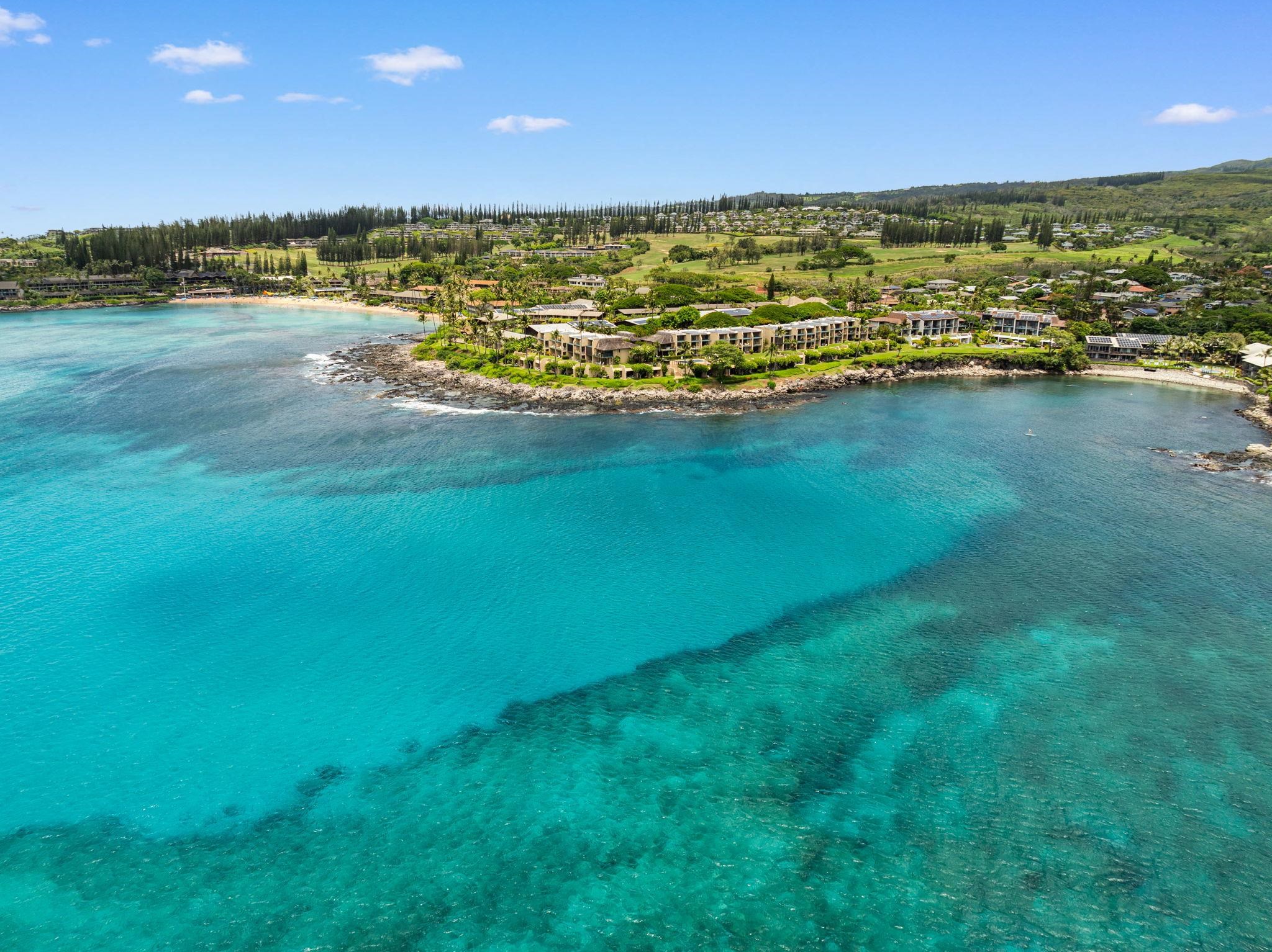 Napili Point I condo # A7, Lahaina, Hawaii - photo 41 of 43