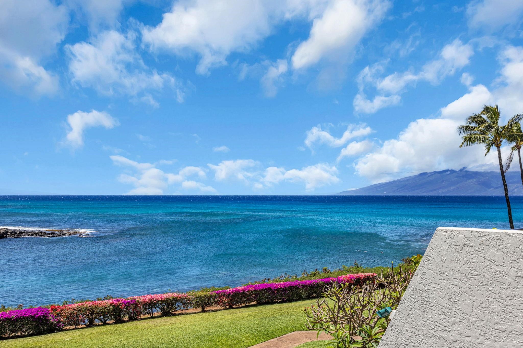 Napili Point II condo # B39, Lahaina, Hawaii - photo 24 of 32