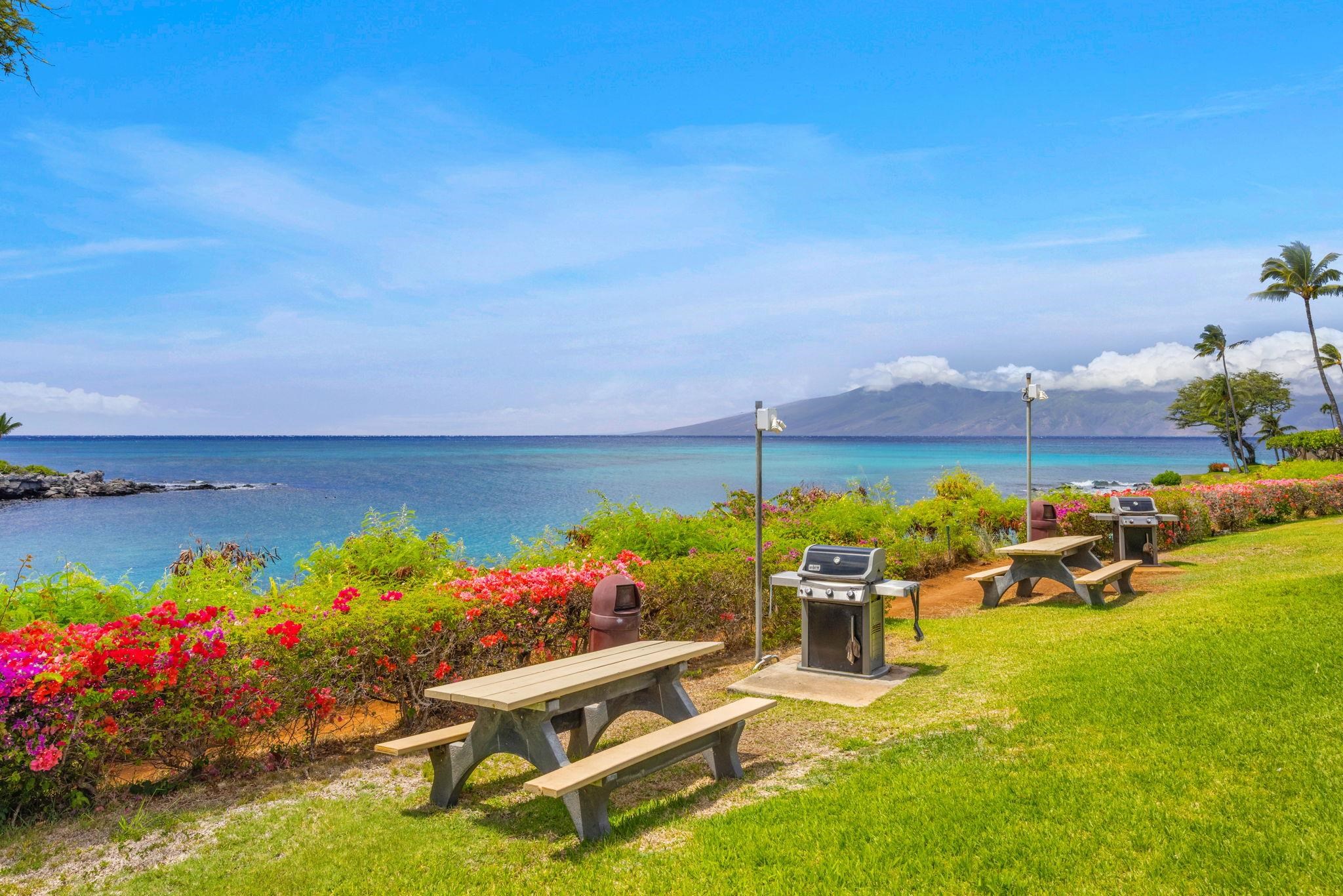 Napili Point II condo # B39, Lahaina, Hawaii - photo 26 of 32