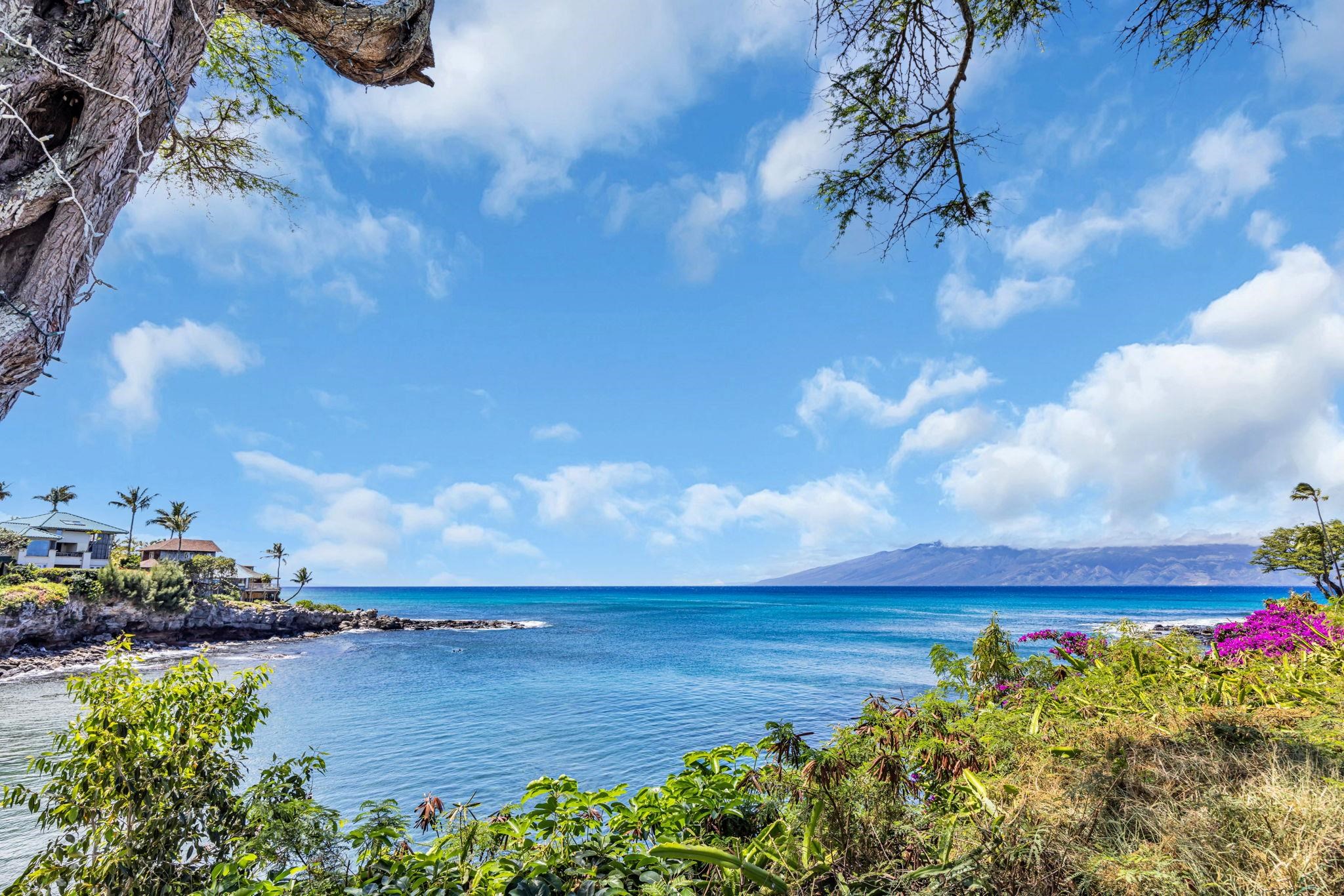 Napili Point II condo # B39, Lahaina, Hawaii - photo 28 of 32