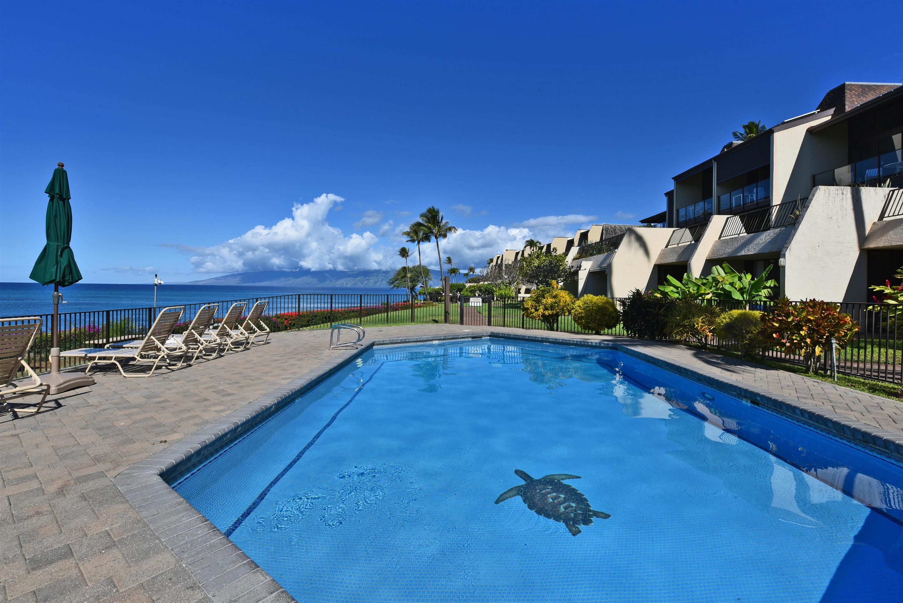 Napili Point I condo # C-21, Lahaina, Hawaii - photo 23 of 25