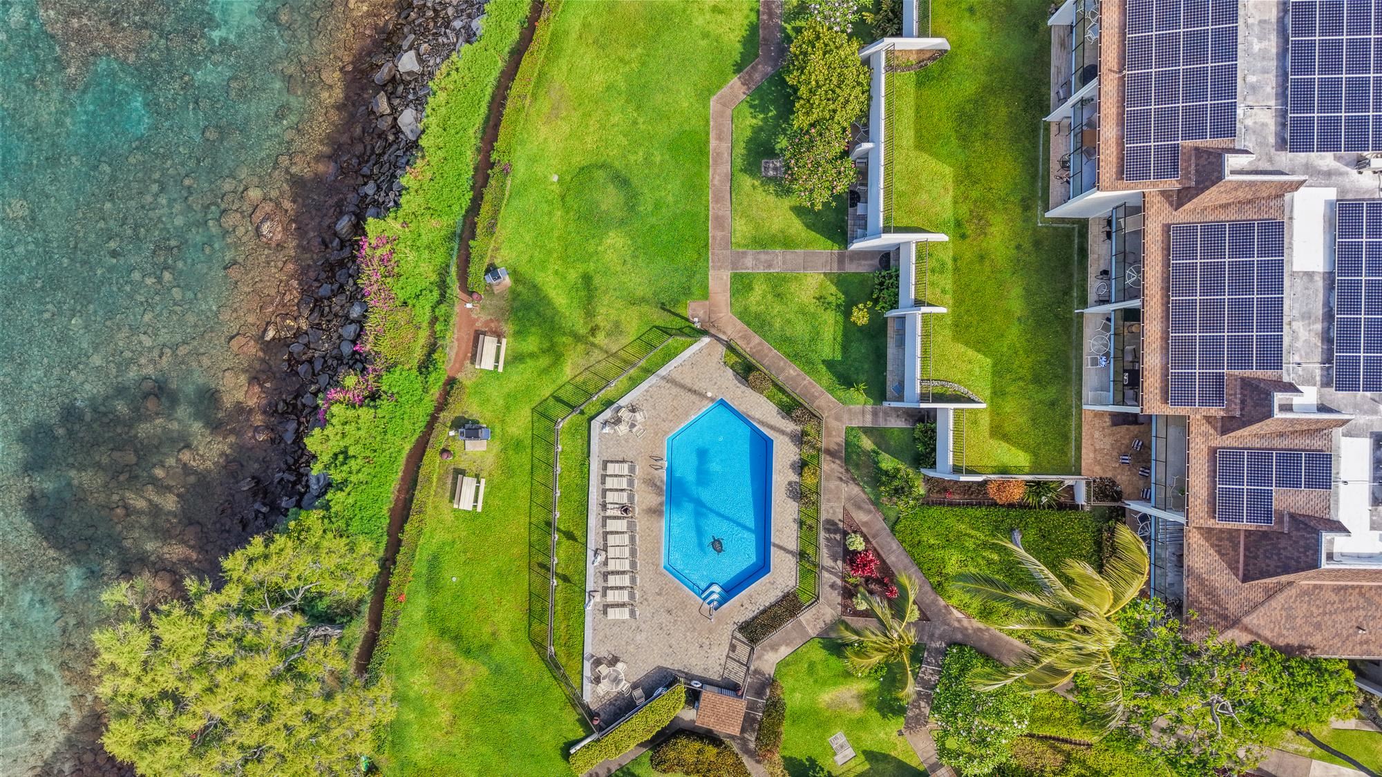 Napili Point II condo # C35, Lahaina, Hawaii - photo 19 of 50