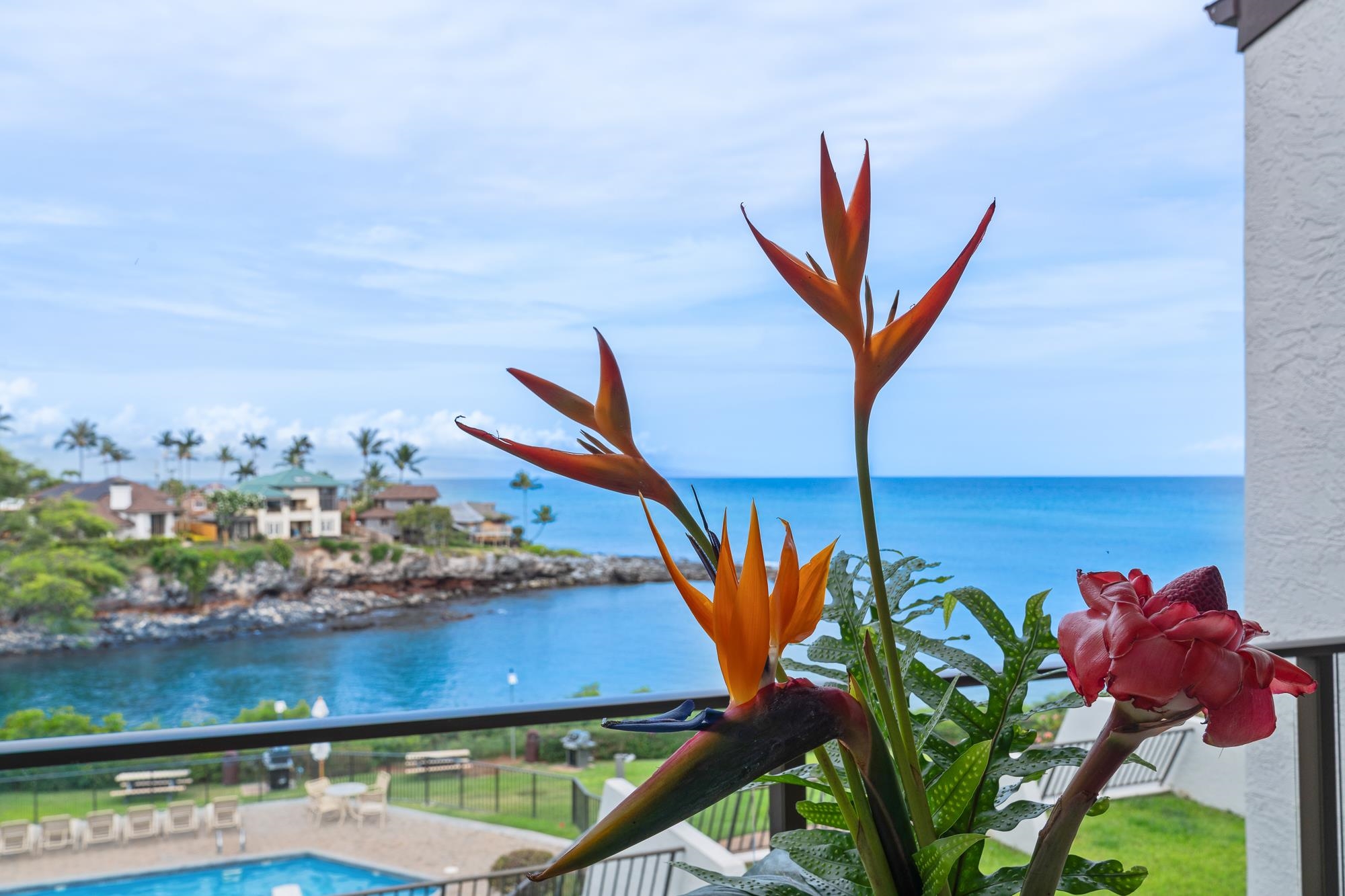 Napili Point II condo # C35, Lahaina, Hawaii - photo 26 of 50