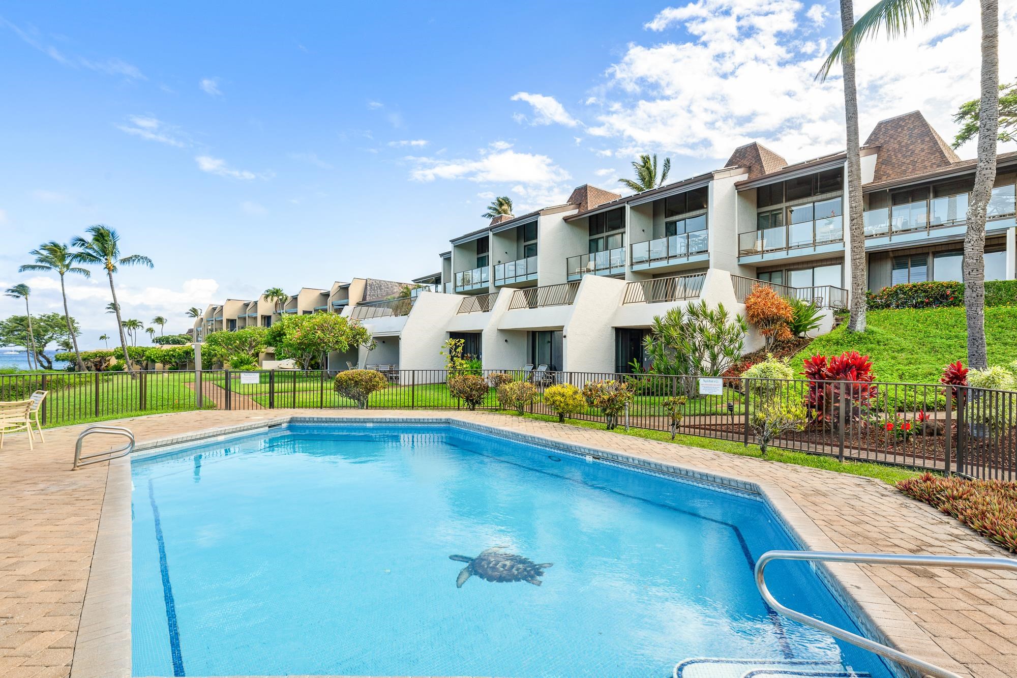 Napili Point II condo # C35, Lahaina, Hawaii - photo 31 of 50