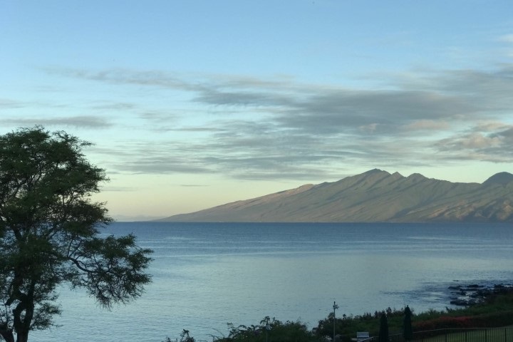 Napili Point II condo # C43, Lahaina, Hawaii - photo 26 of 29