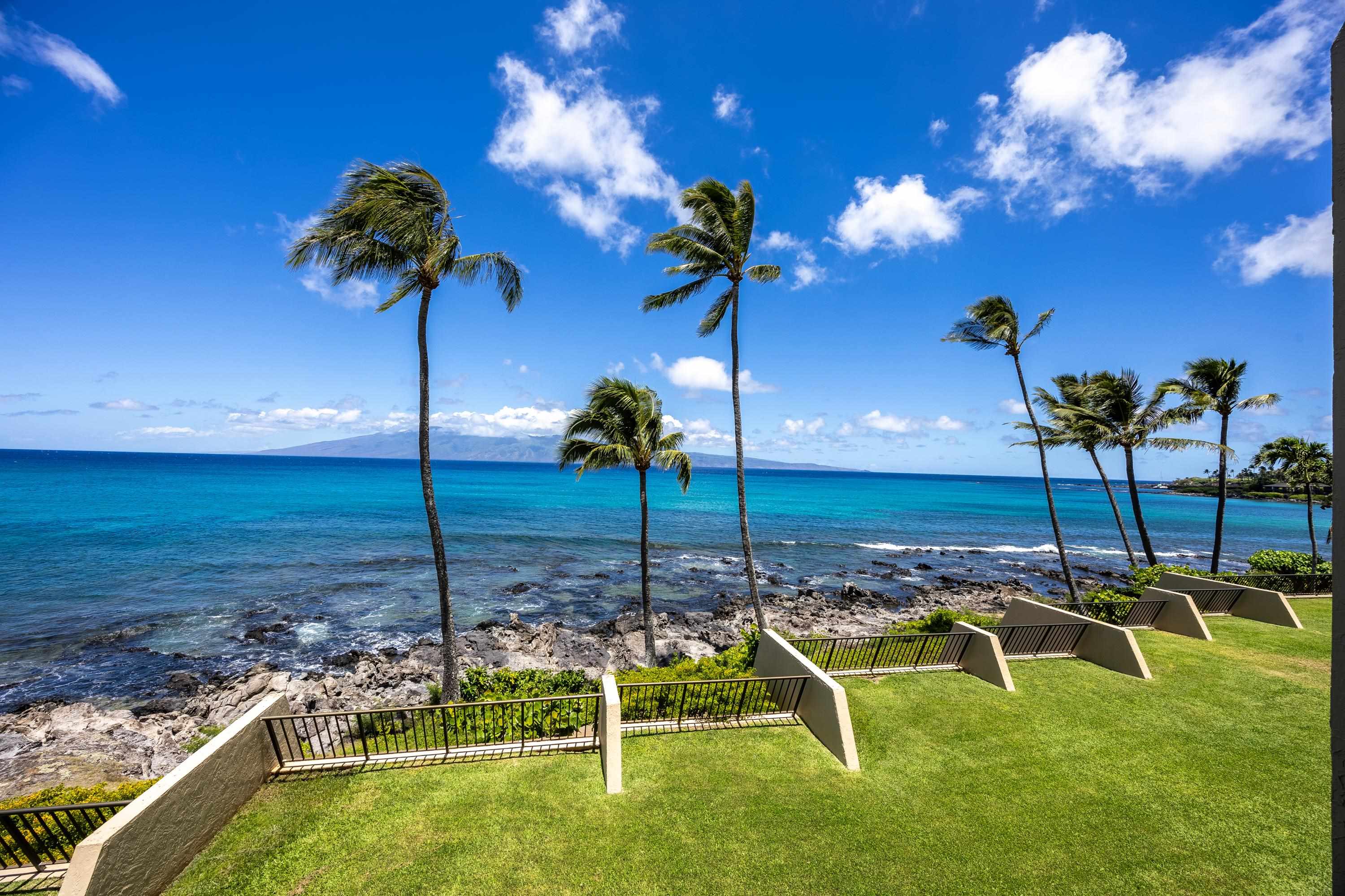 Napili Point I condo # C-7, Lahaina, Hawaii - photo 13 of 42