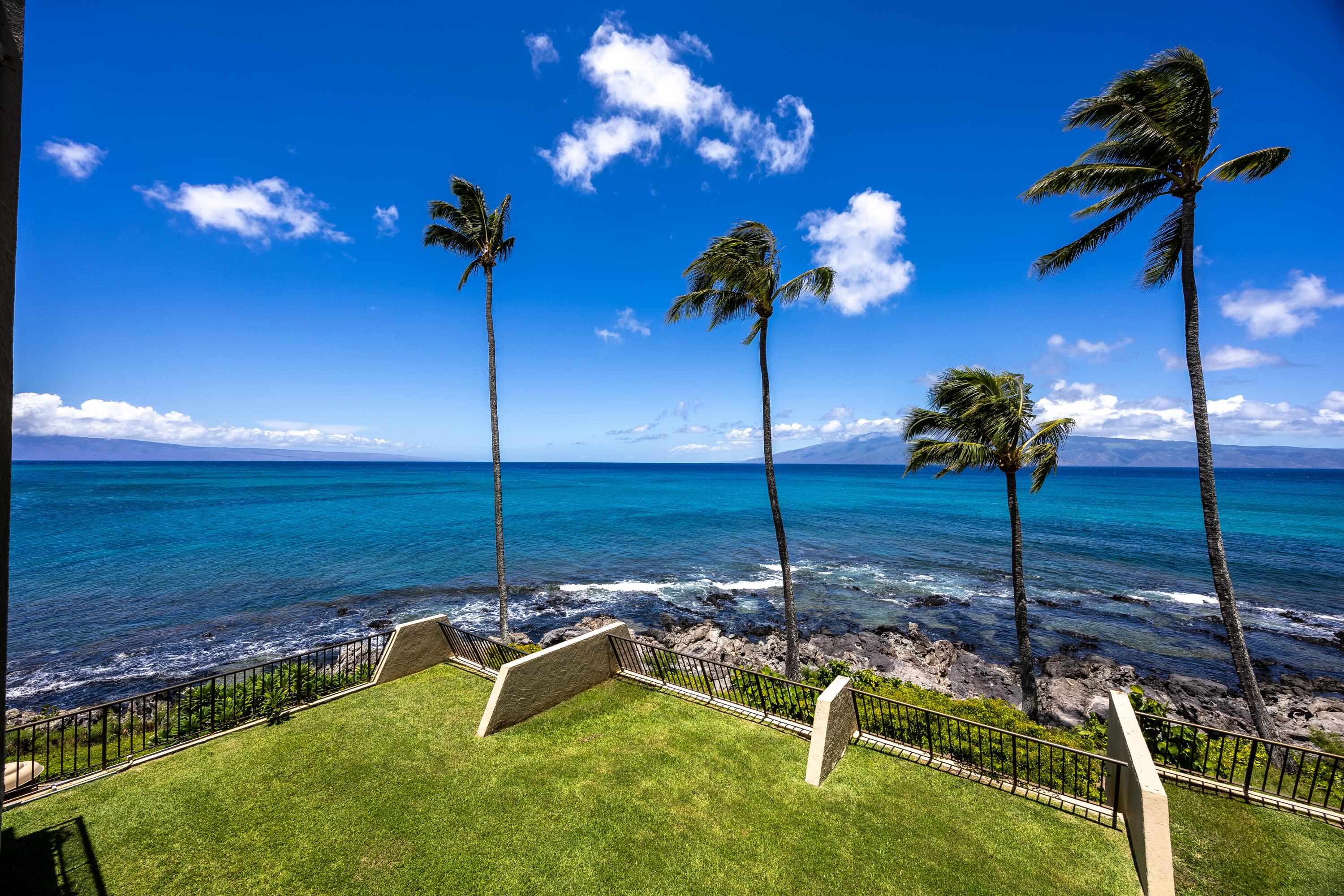 Napili Point I condo # C-7, Lahaina, Hawaii - photo 14 of 42