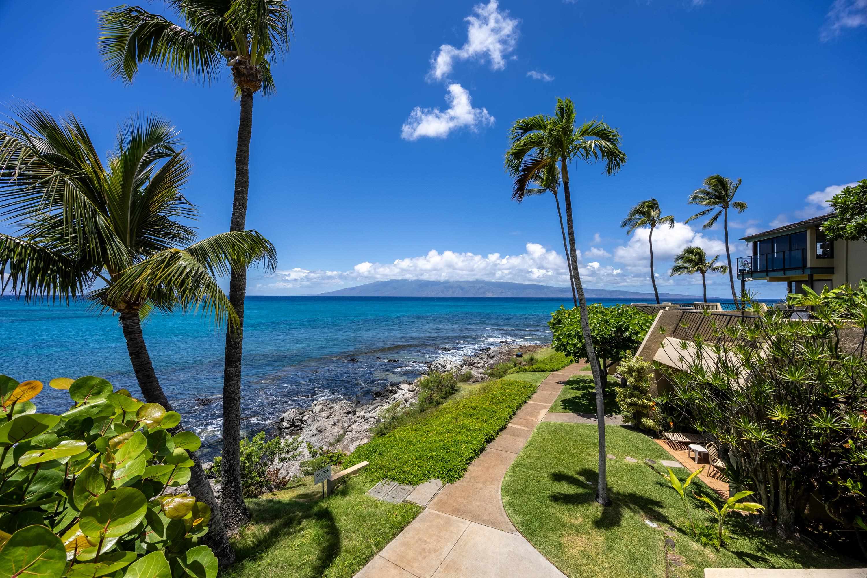 Napili Point I condo # C-7, Lahaina, Hawaii - photo 39 of 42