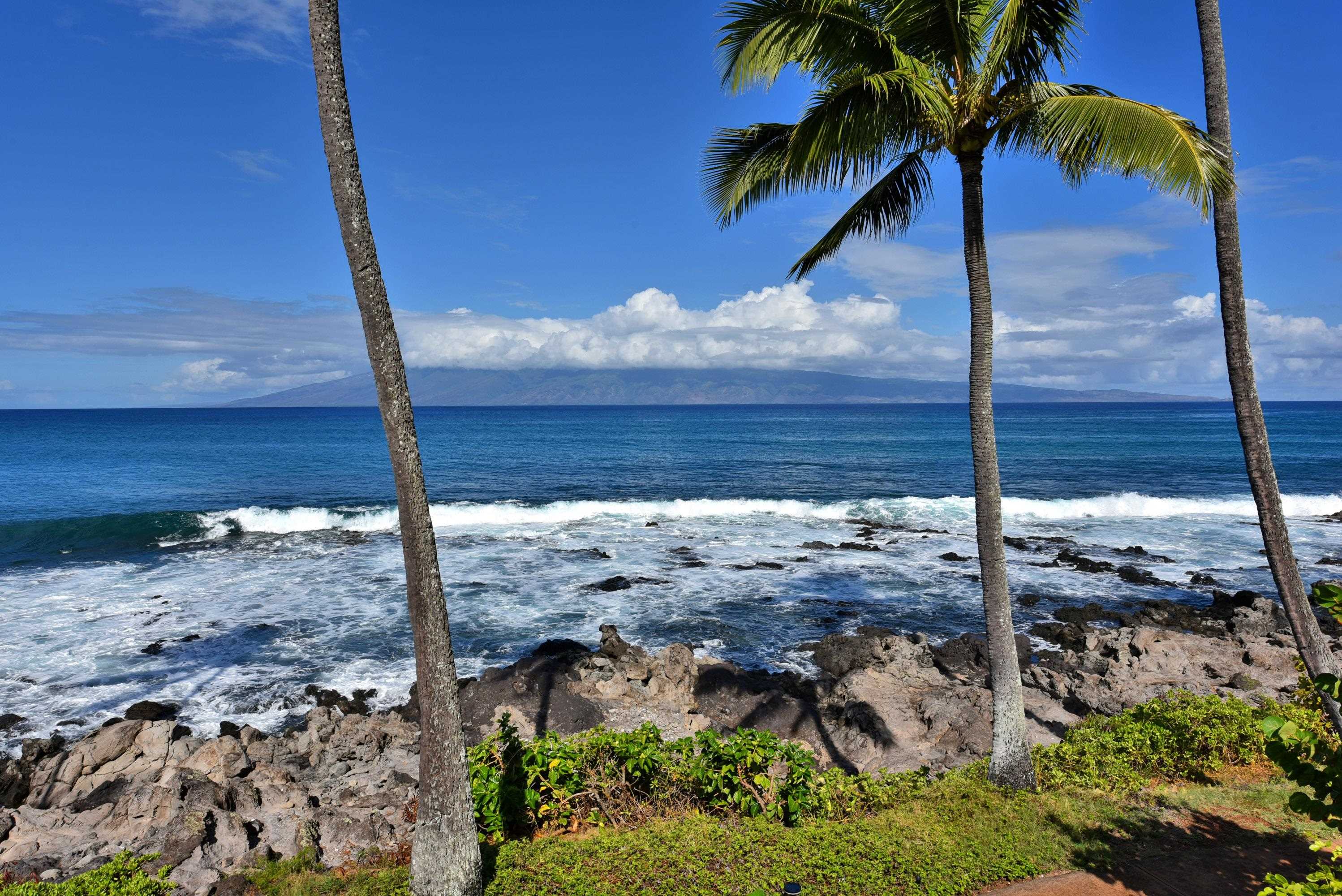 Napili Point I condo # B-5, Lahaina, Hawaii - photo 38 of 50