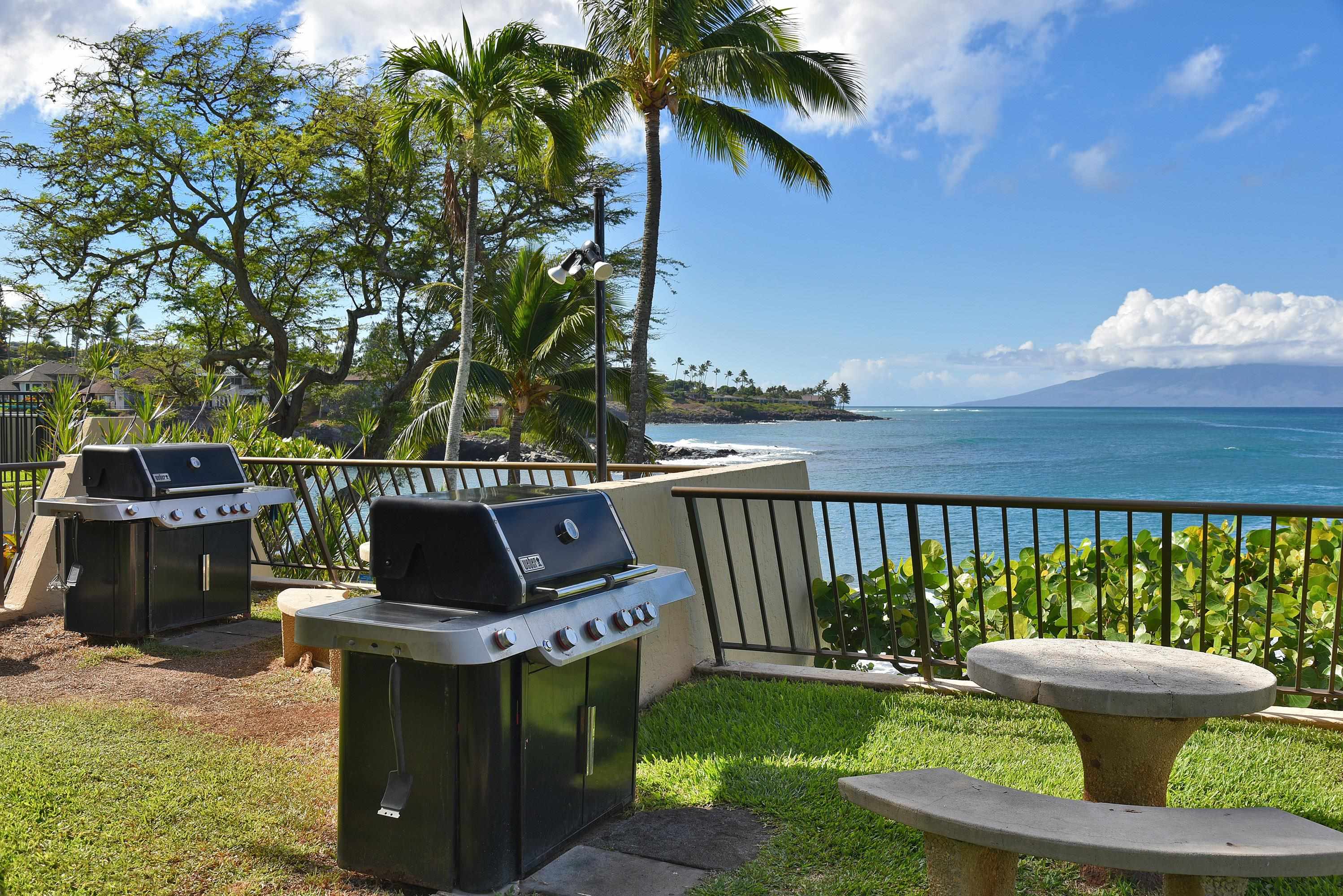 Napili Point I condo # B-5, Lahaina, Hawaii - photo 38 of 50