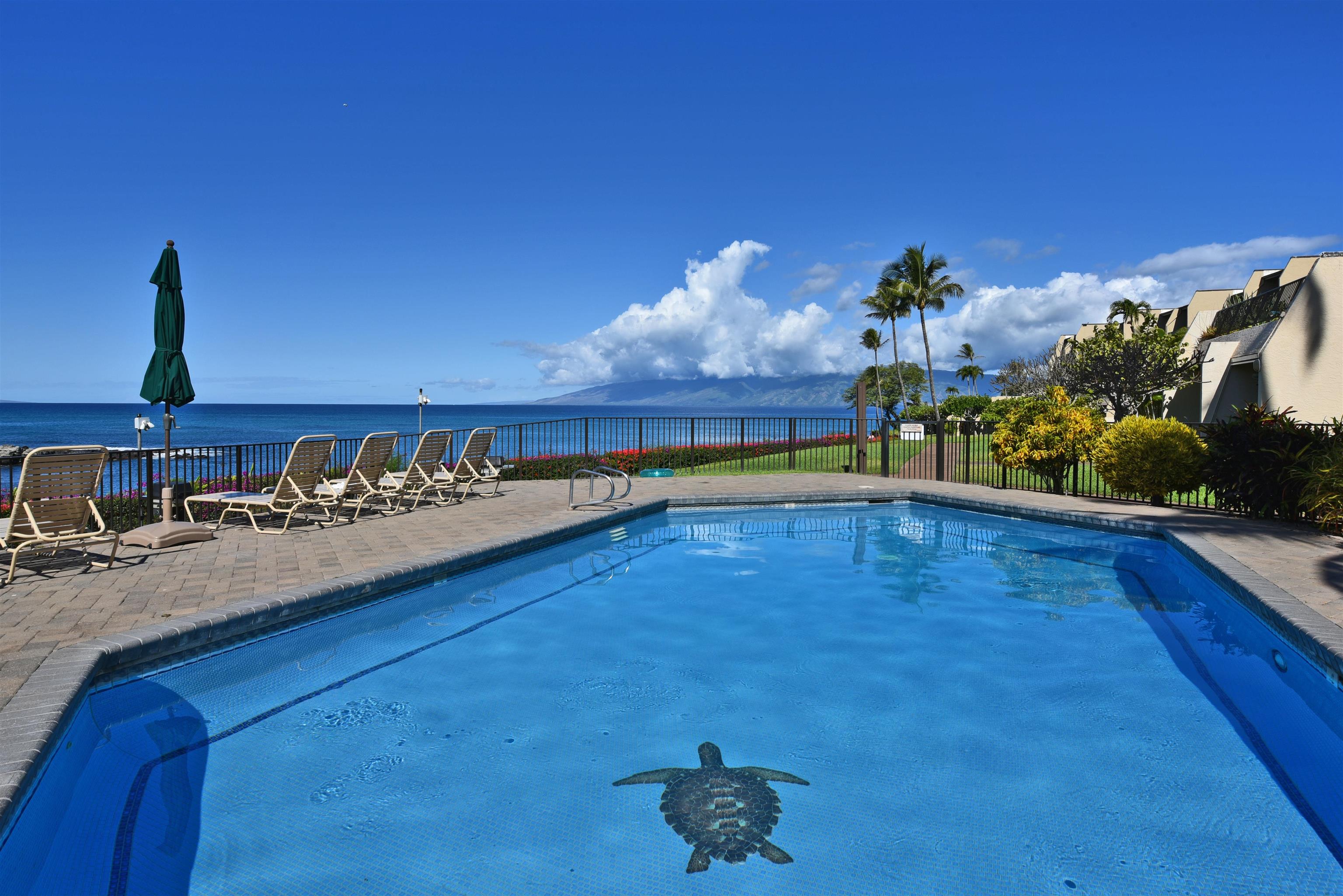 Napili Point I condo # B-5, Lahaina, Hawaii - photo 42 of 50