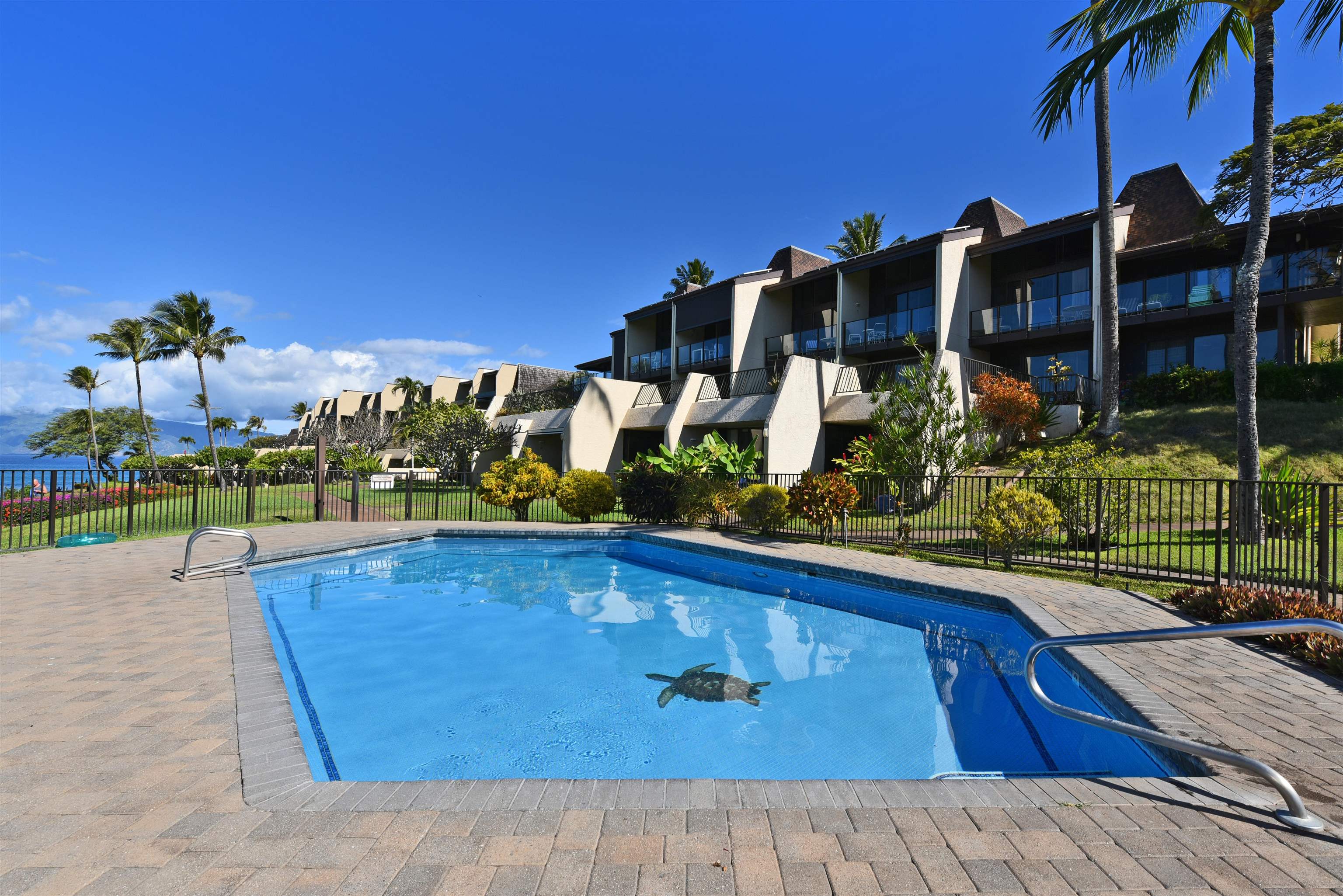 Napili Point I condo # B-5, Lahaina, Hawaii - photo 43 of 50