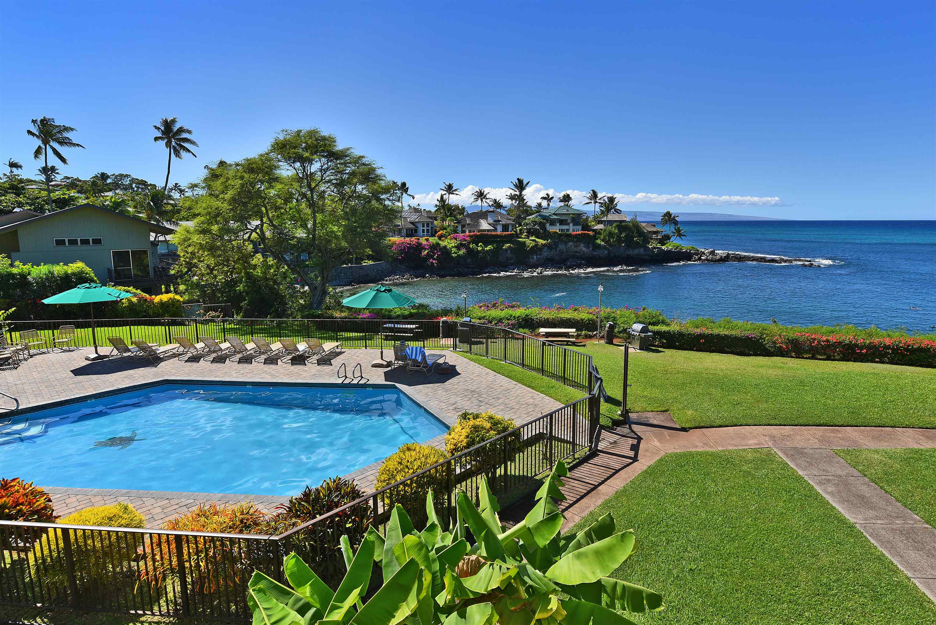 Napili Point I condo # B-5, Lahaina, Hawaii - photo 45 of 50