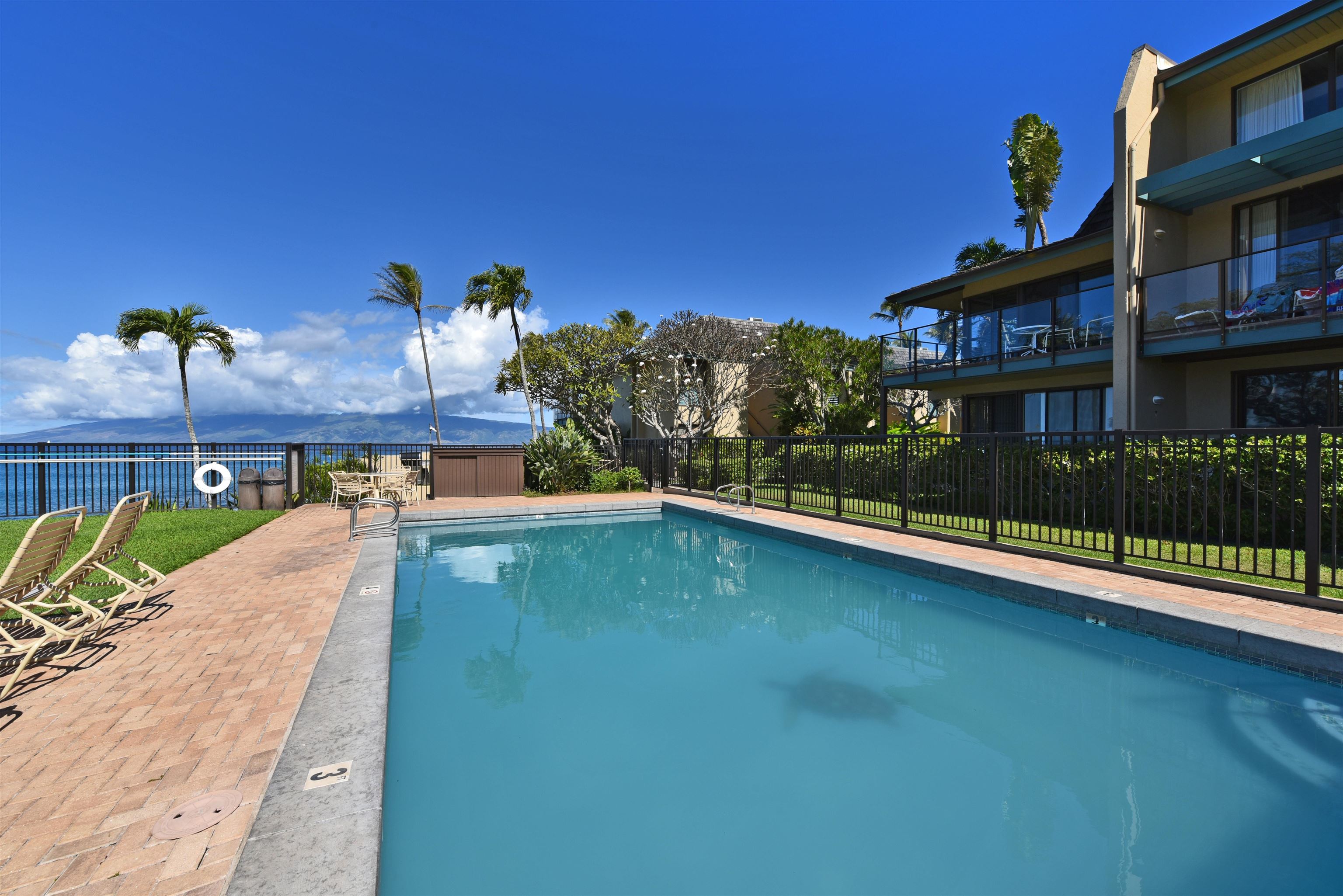 Napili Point I condo # B-5, Lahaina, Hawaii - photo 48 of 50