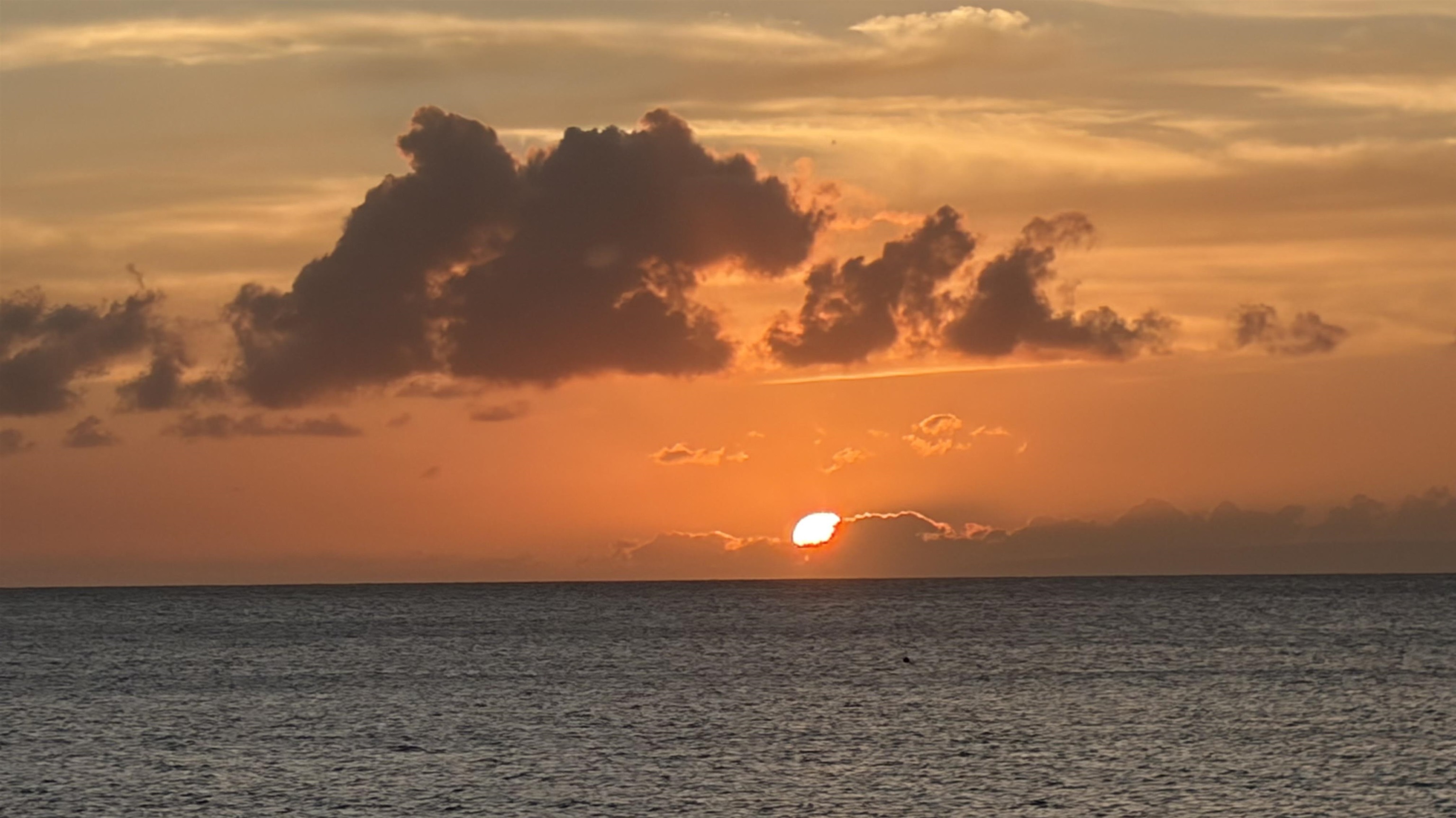 Napili Point I condo # B-5, Lahaina, Hawaii - photo 50 of 50
